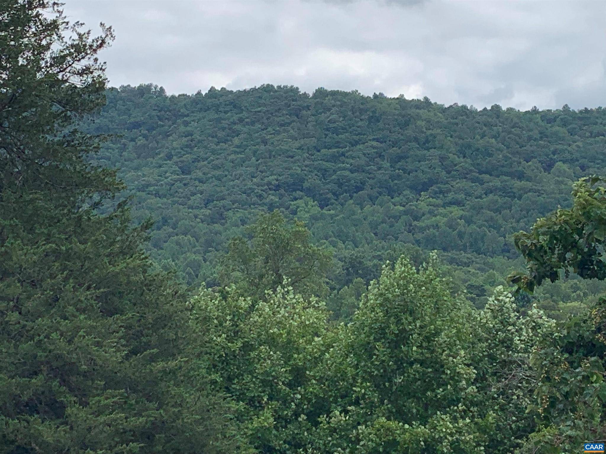 Free Union, VA 22940,3445 SIMMONS GAP RD