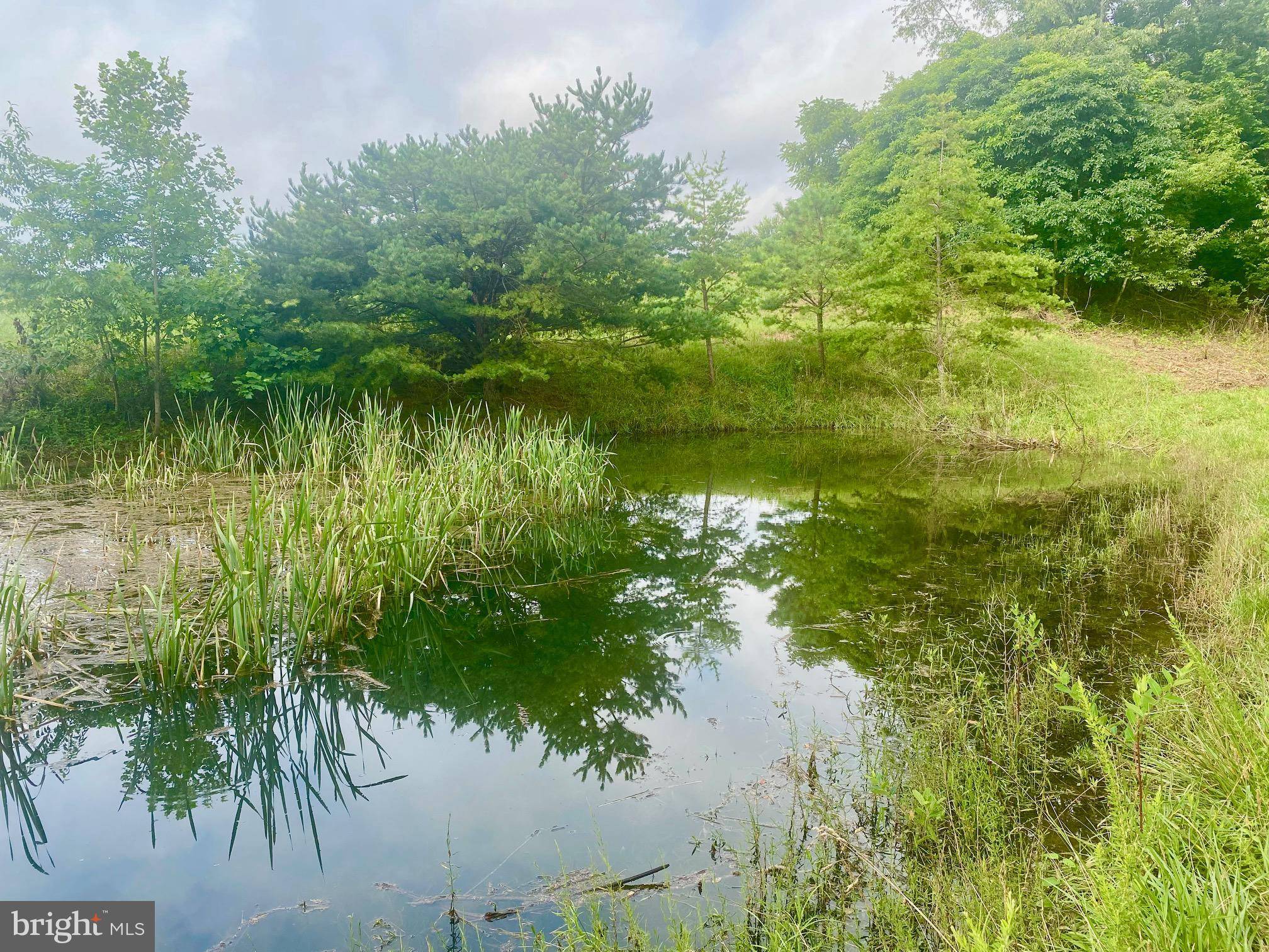 Hedgesville, WV 25427,LOT 62 CRESSIDA DR