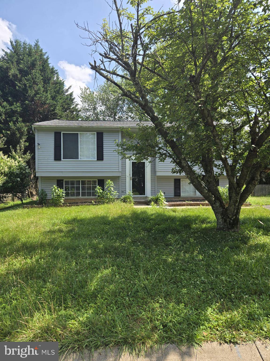 Silver Spring, MD 20905,1409 ROSSITER CT