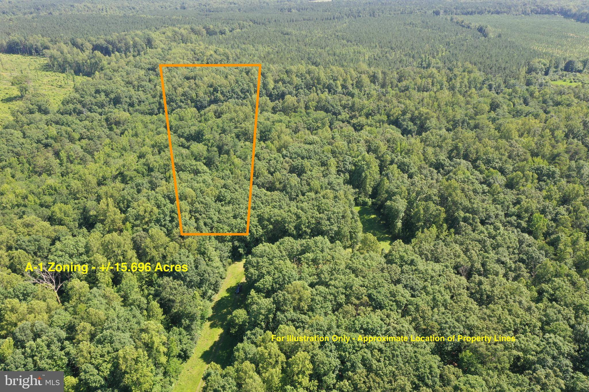 Beaverdam, VA 23015,LOT 1 - WARDS FOREST AVE