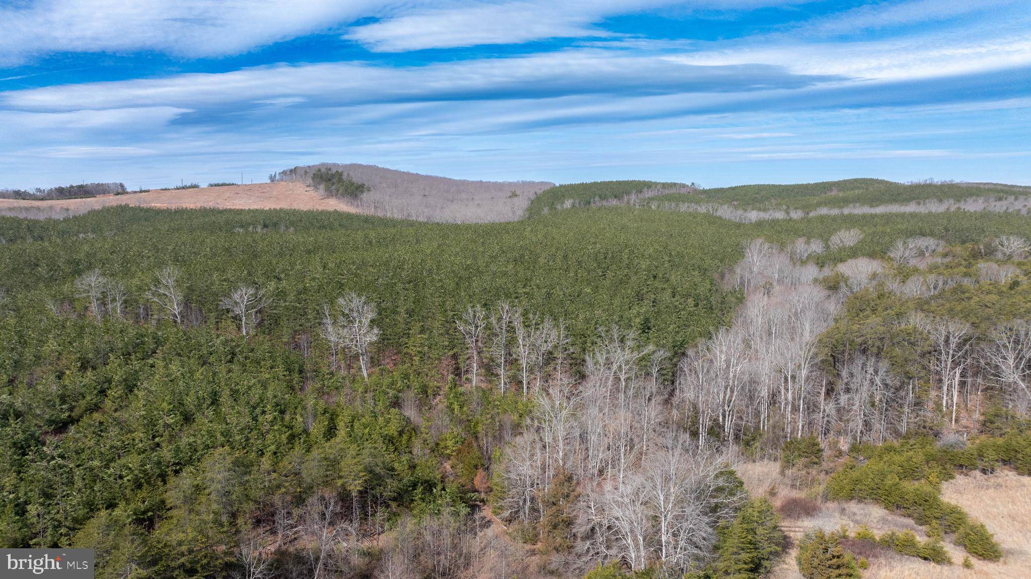 Altavista, VA 24517,TBD TARDY MOUNTAIN ROAD #7