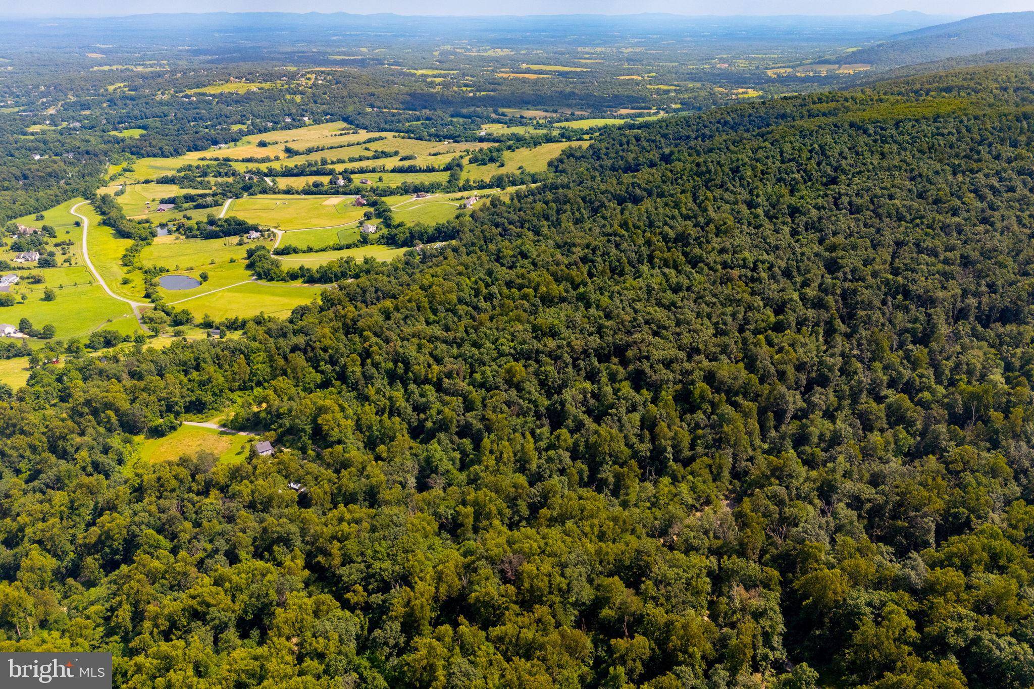Round Hill, VA 20141,TREE CROPS LANE
