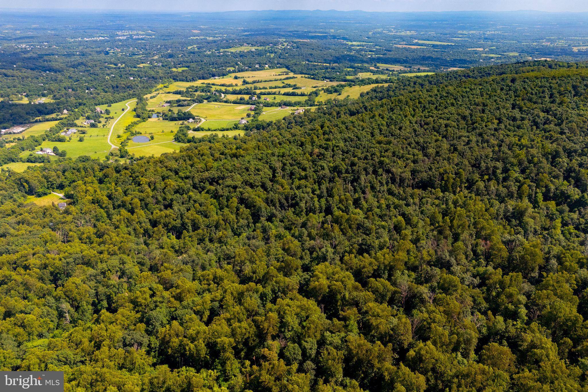 Round Hill, VA 20141,TREE CROPS LANE