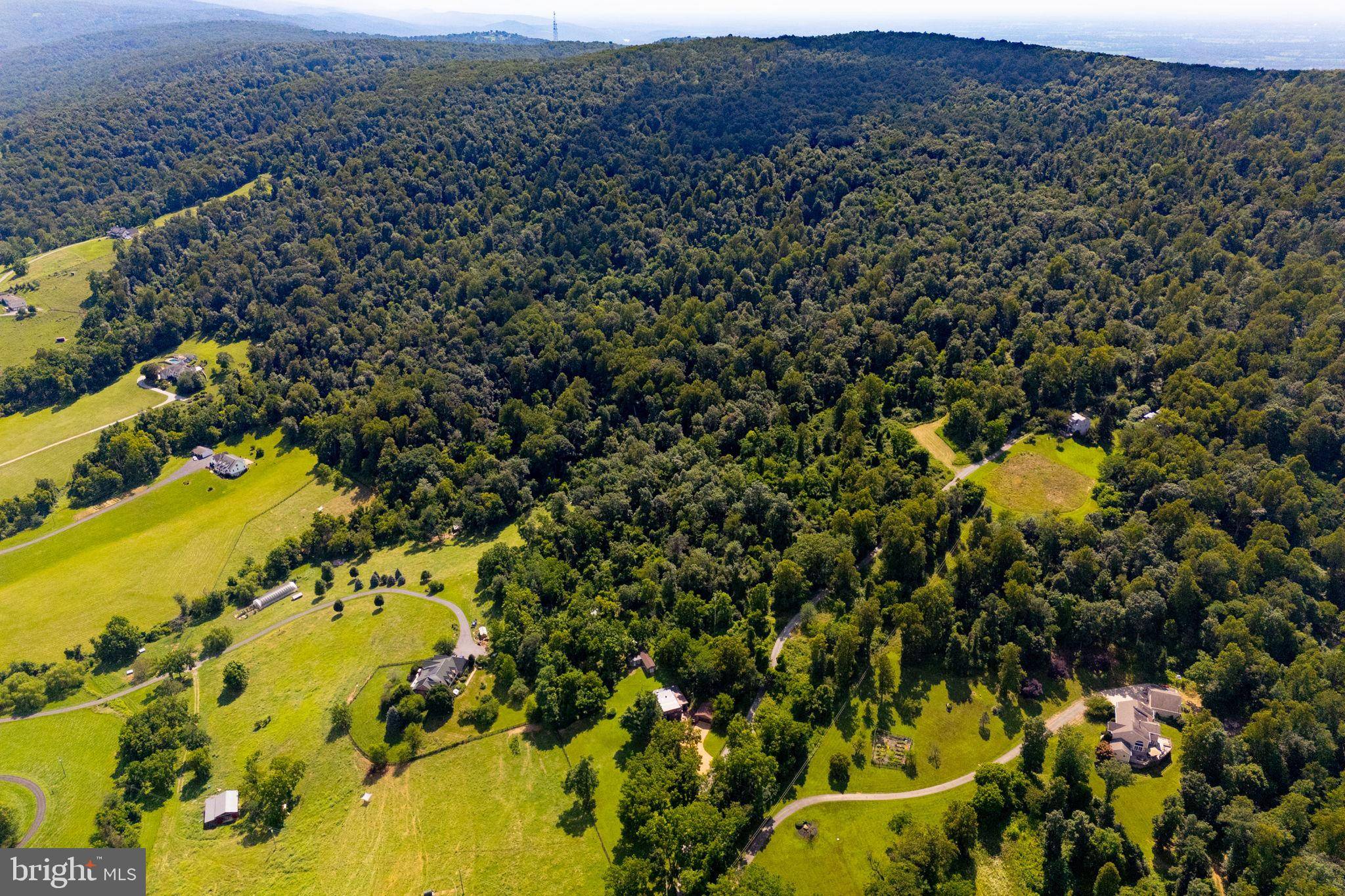 Round Hill, VA 20141,TREE CROPS LANE