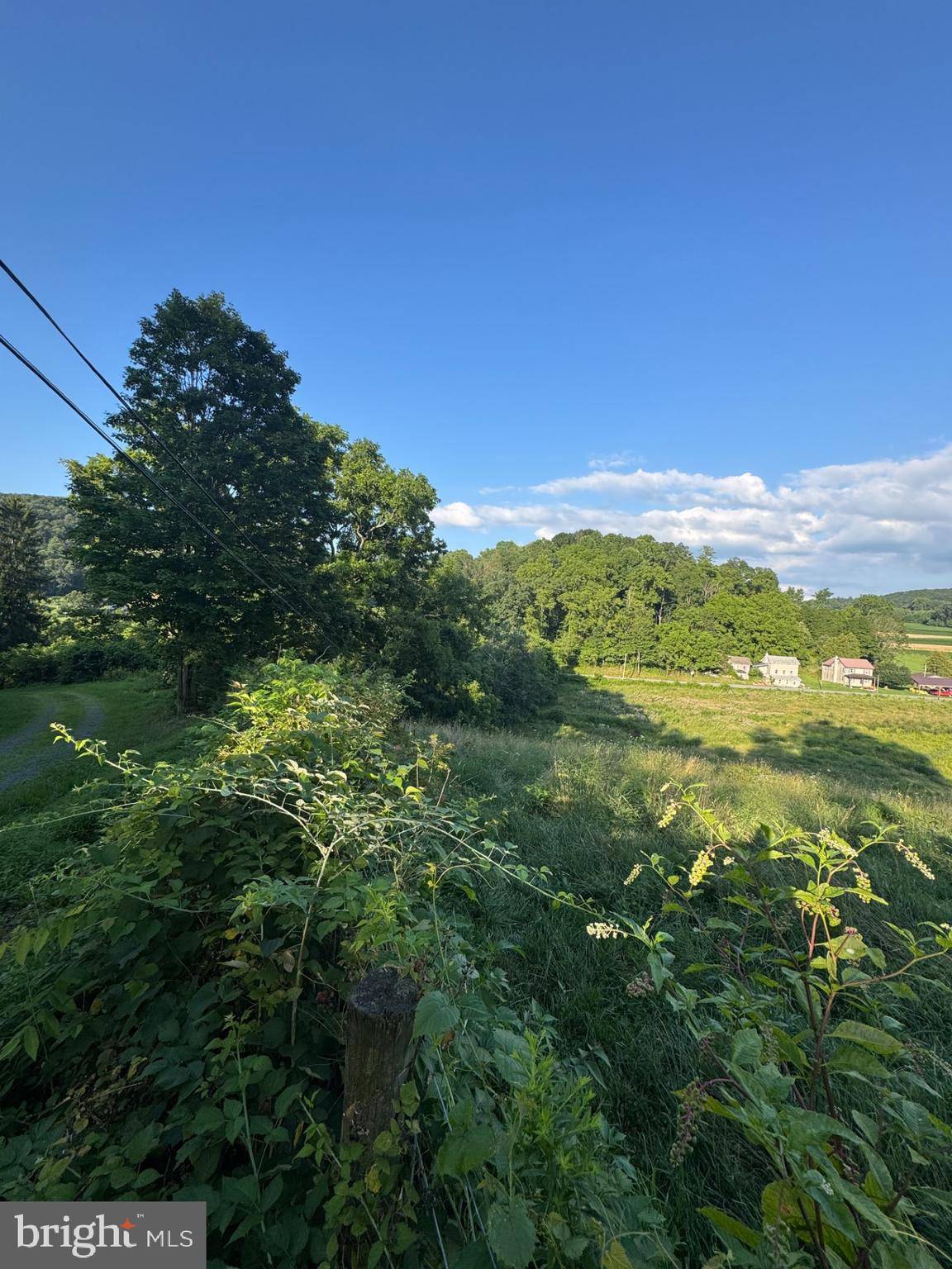 Herndon, PA 17830,1666 URBAN RD