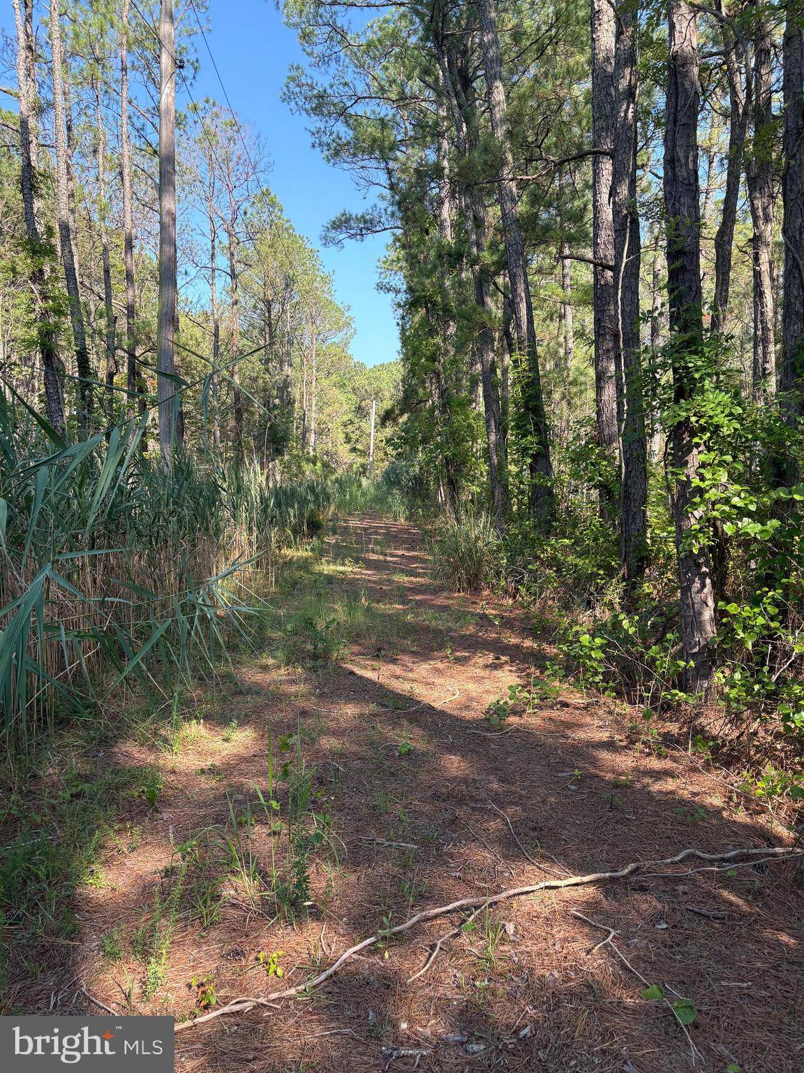 Crisfield, MD 21817,0 BOONE RD #PARCEL 1370