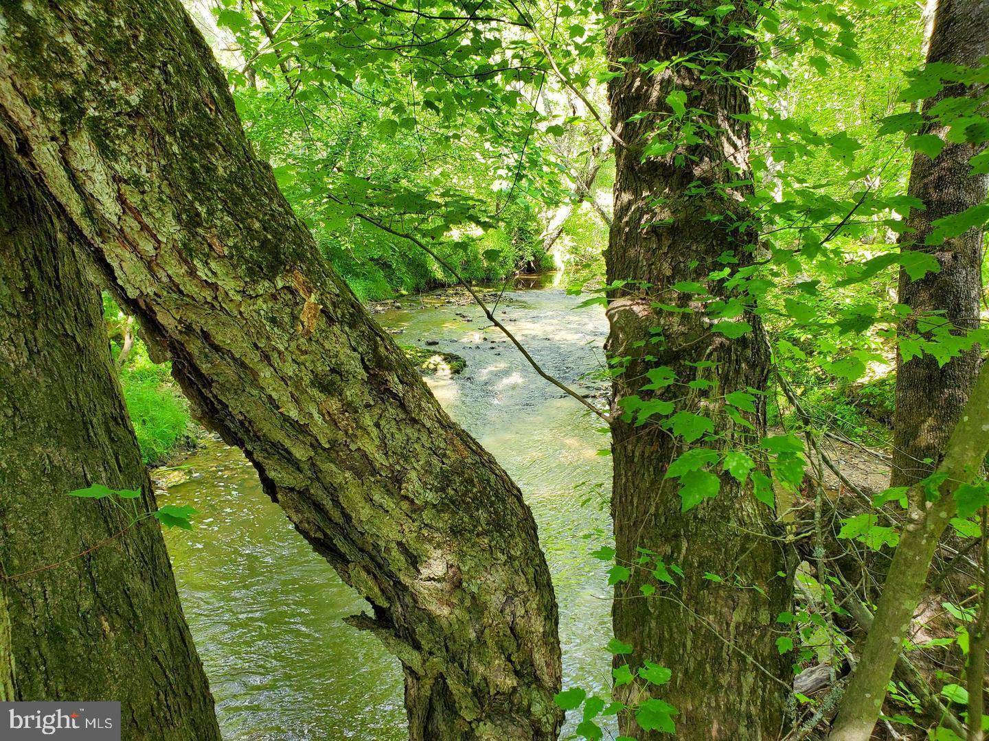 Unionville, VA 22567,14376 TOWER RD