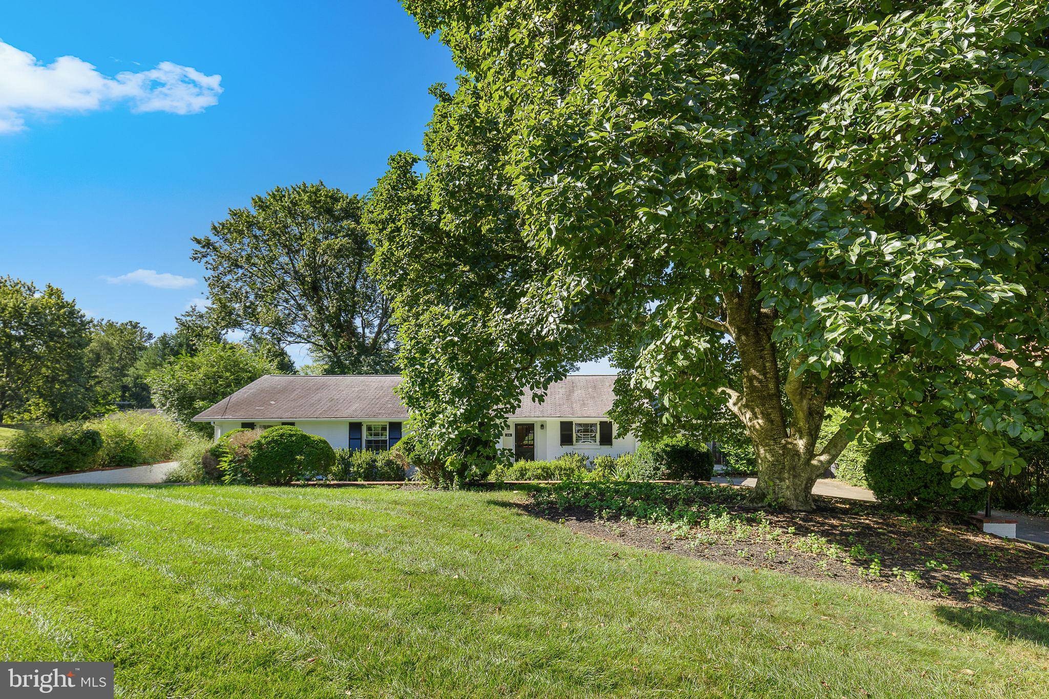 Warrenton, VA 20186,306 STUYVESANT ST