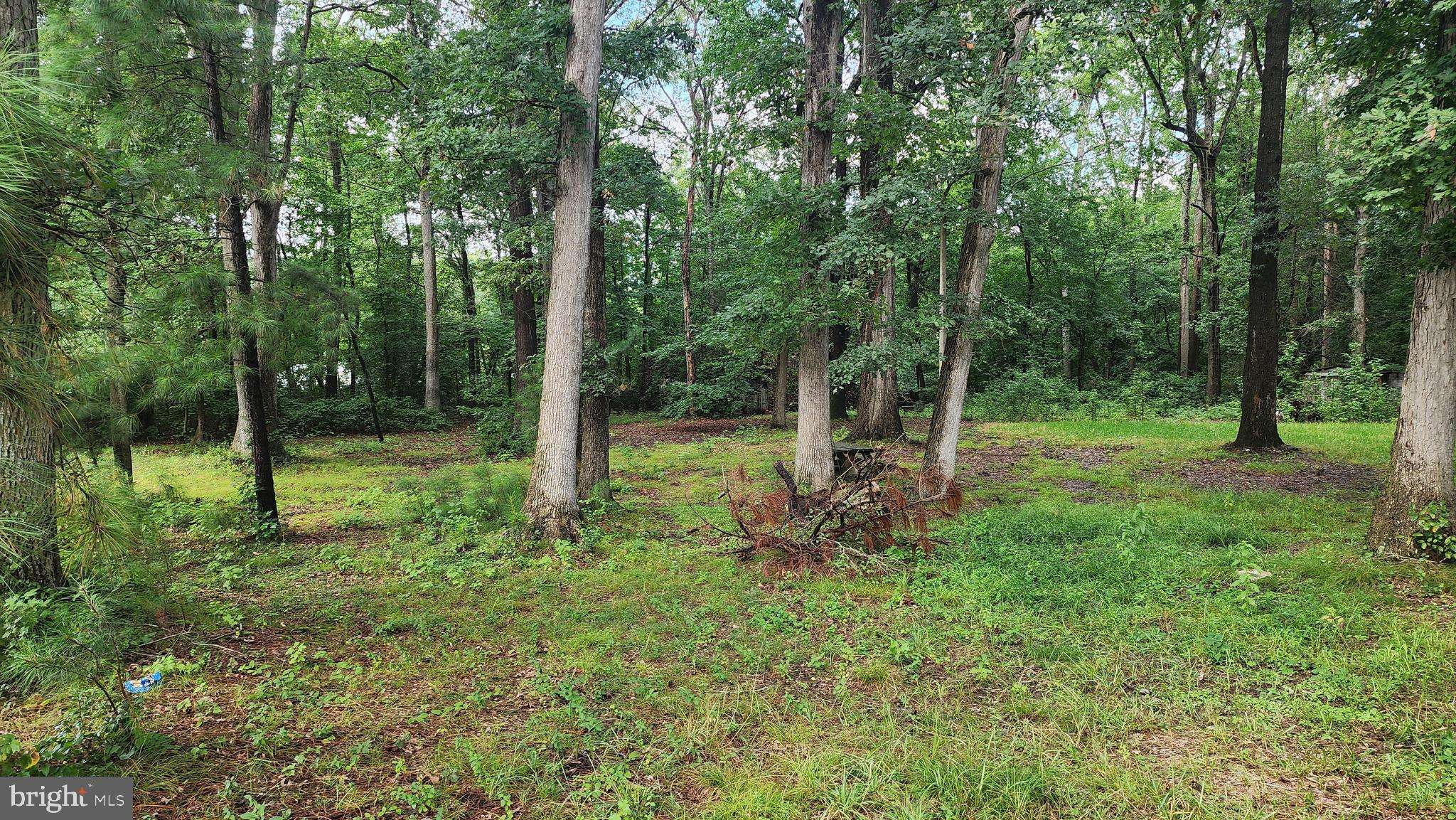 Dover, DE 19904,2978 KENTON RD