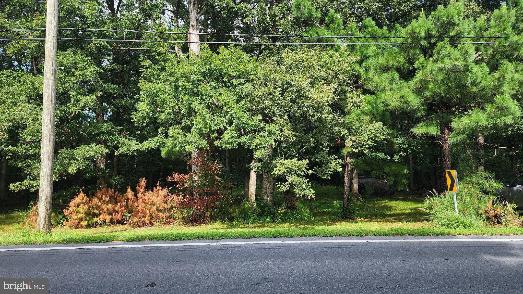 Dover, DE 19904,2978 KENTON RD