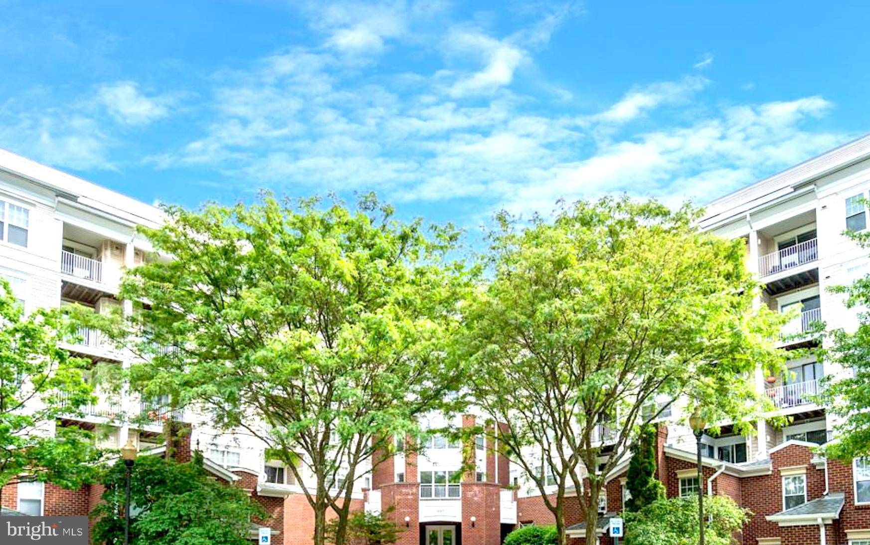 Mclean, VA 22102,1645 INTERNATIONAL DRIVE #126