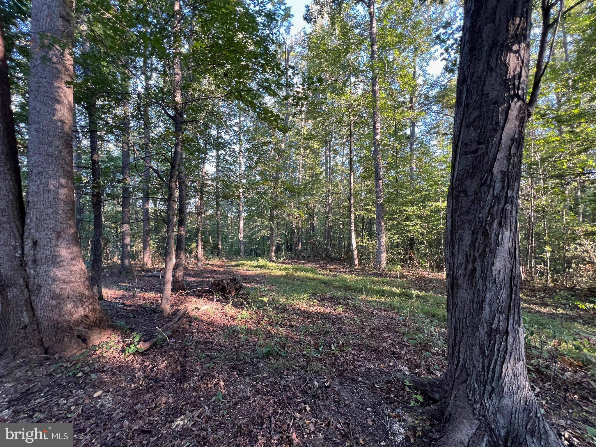 Reva, VA 22735,14285 WOODS VIEW LN