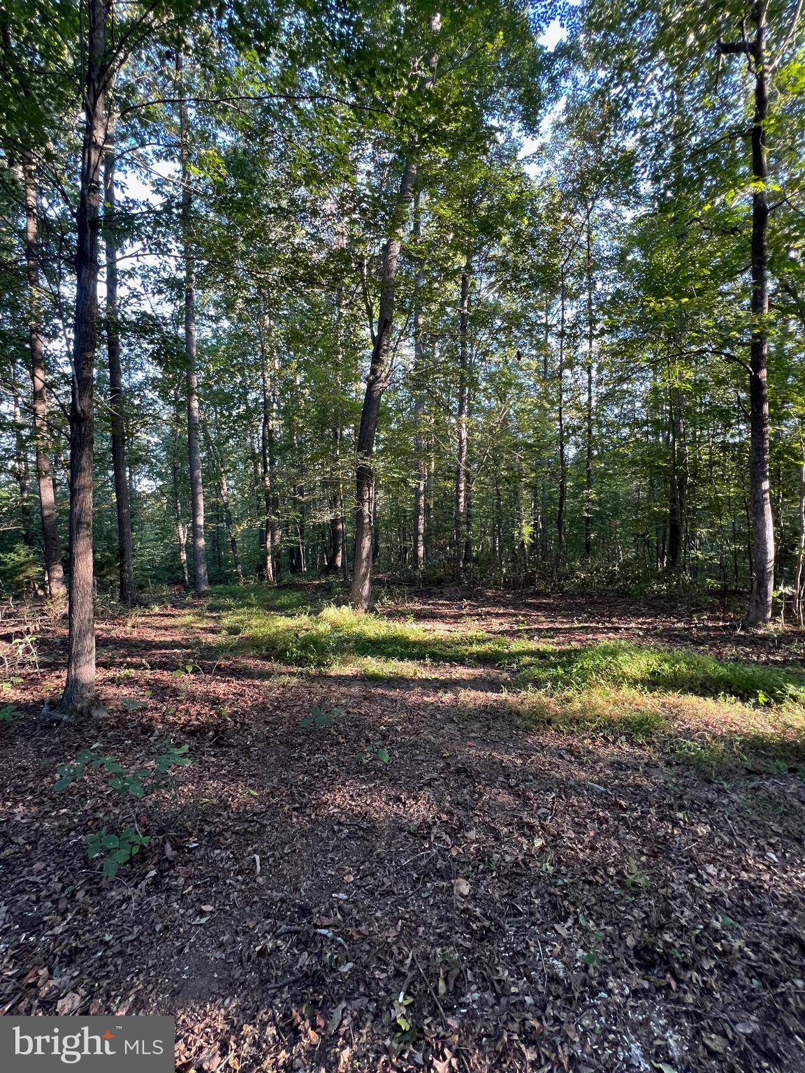 Reva, VA 22735,14285 WOODS VIEW LN