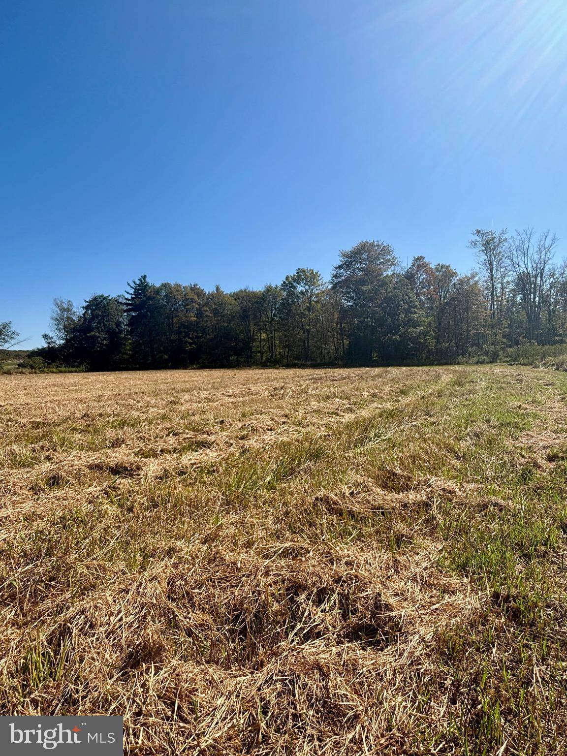 Friedens, PA 15541,1360 COLEMAN STATION RD