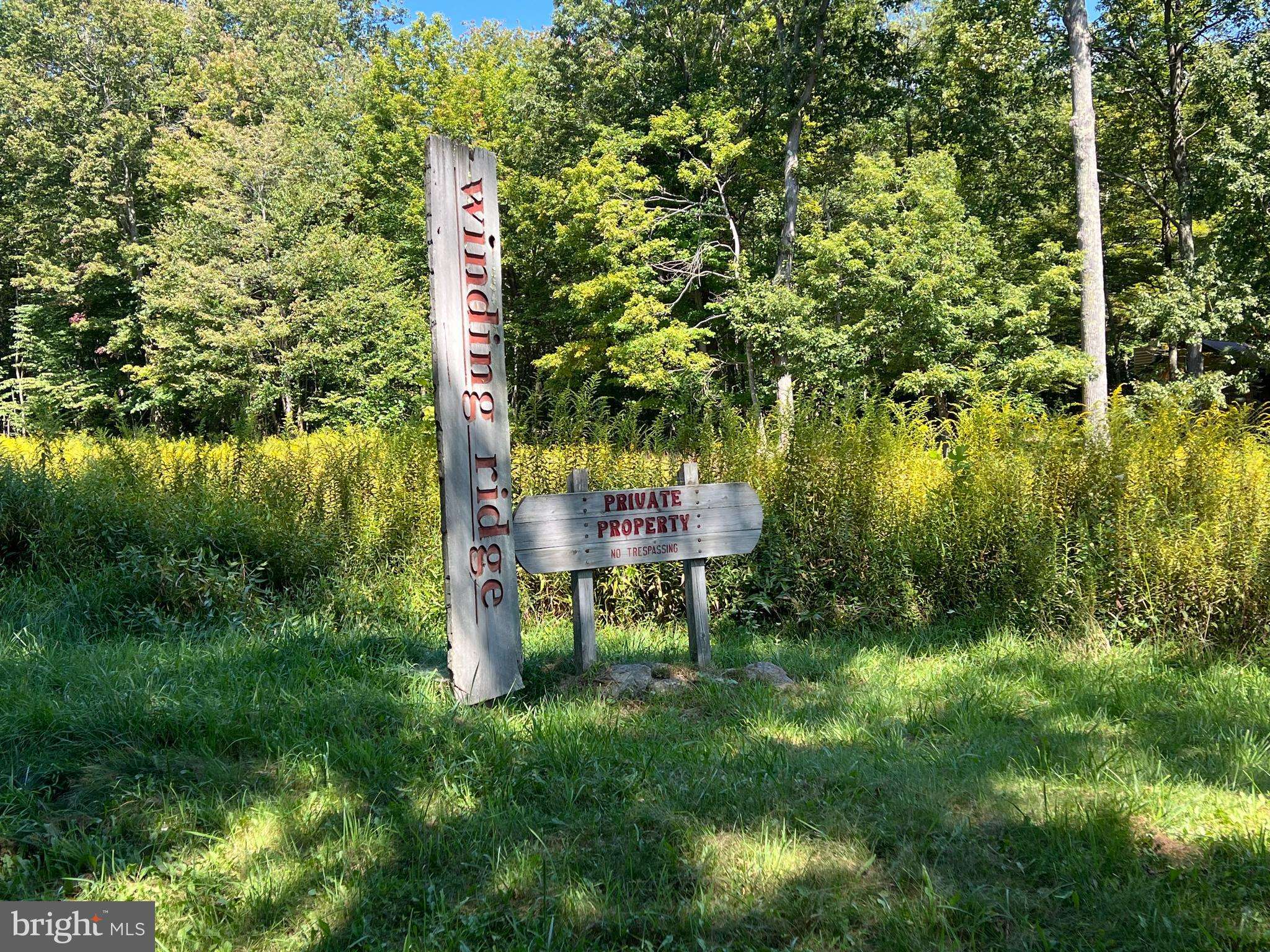 Accident, MD 21520,LOT 11 TURKEY RUN ROAD