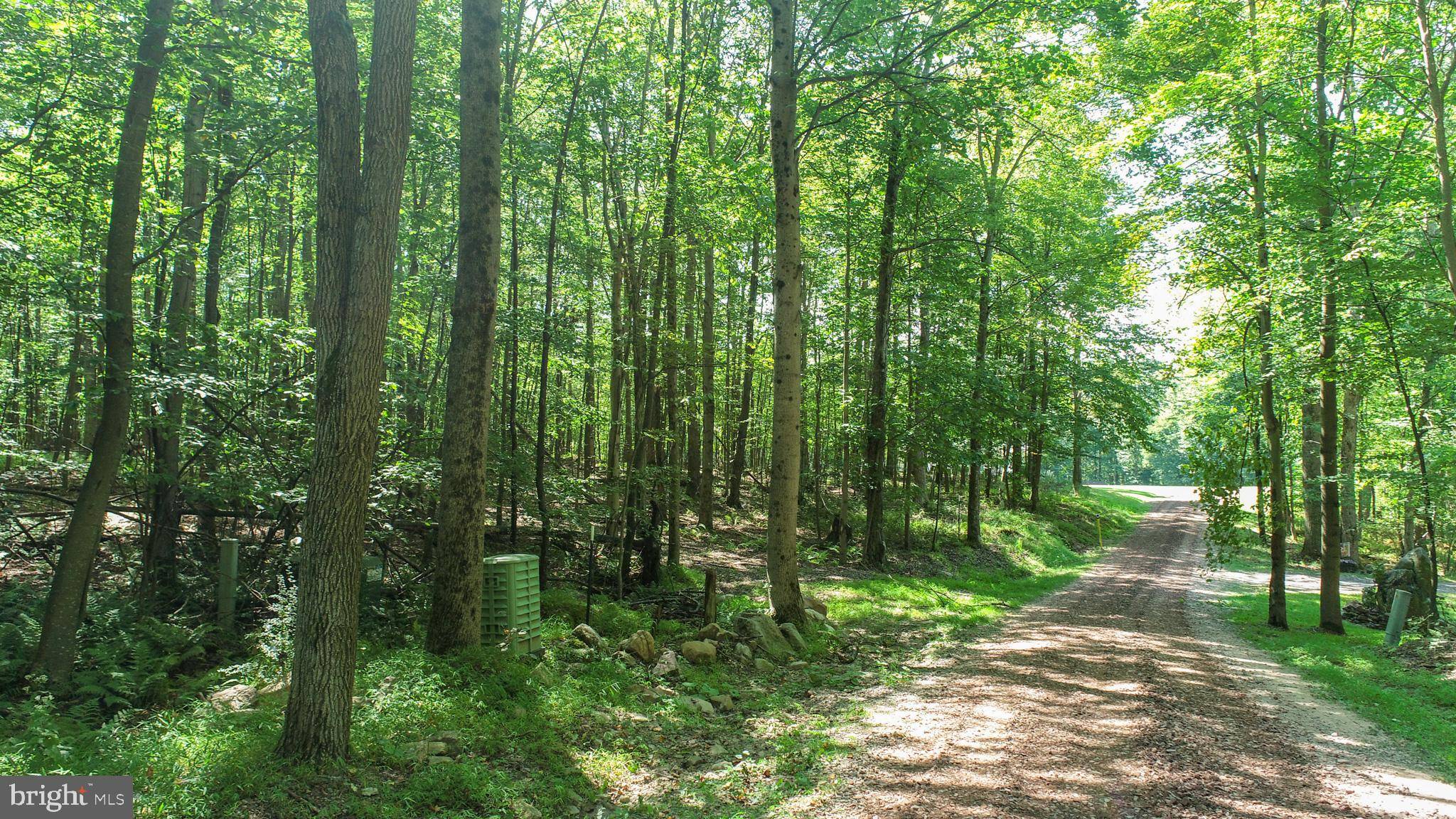 Accident, MD 21520,LOT 11 TURKEY RUN ROAD