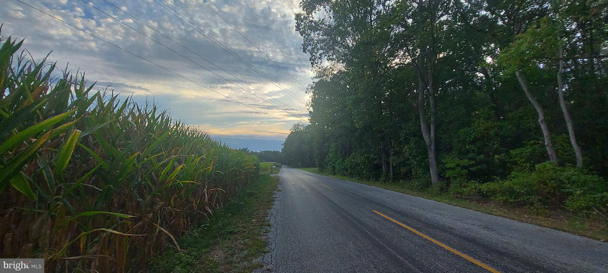 Pittsgrove, NJ 08318,0-00011 07 MC KISHEN RD