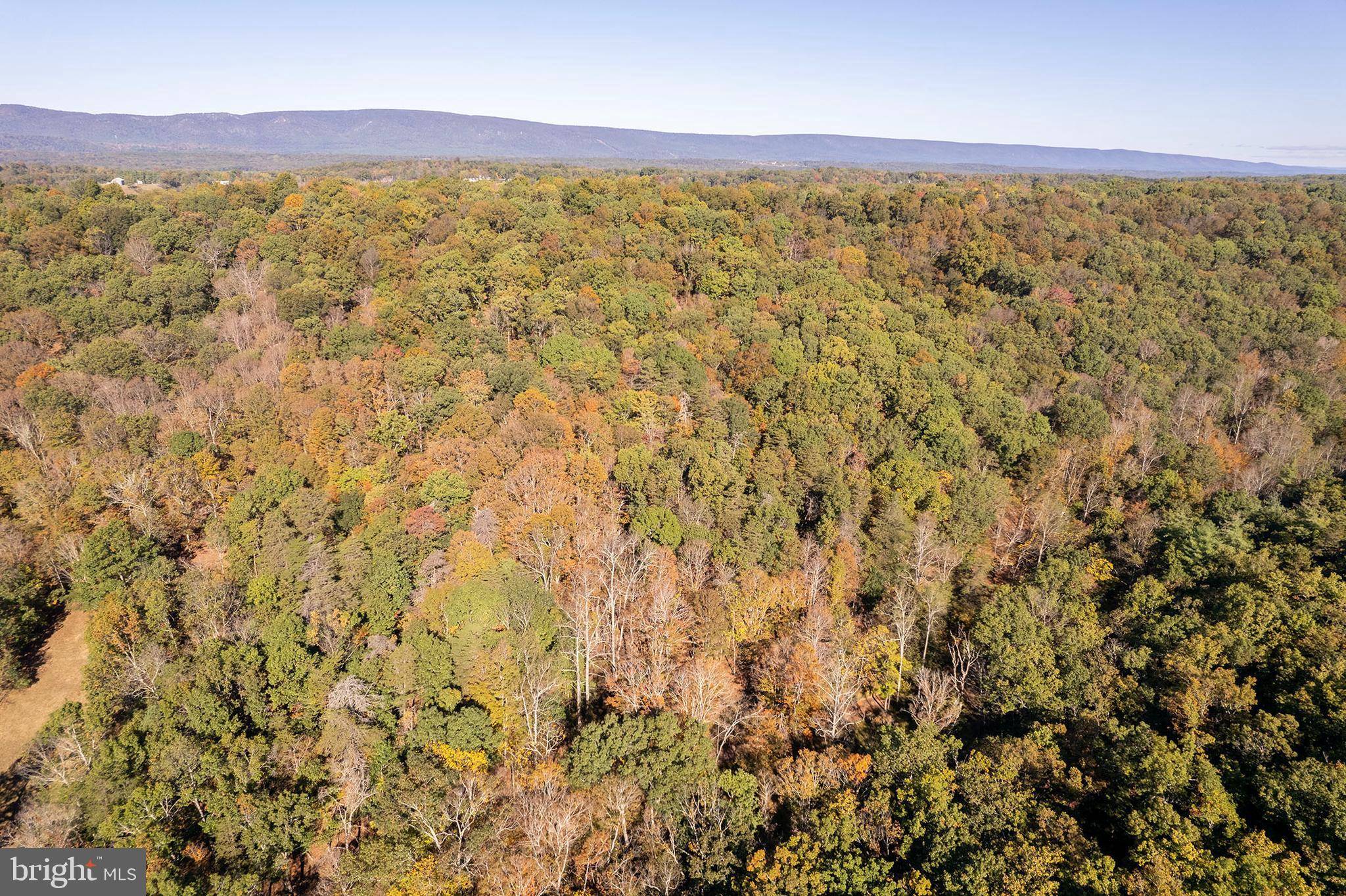 Winchester, VA 22603,LOT 5 SNAKE DR.