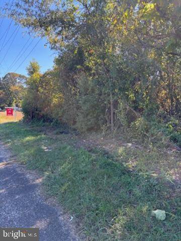 Bridgeton, NJ 08302,176 PAMPHYLIA AVE