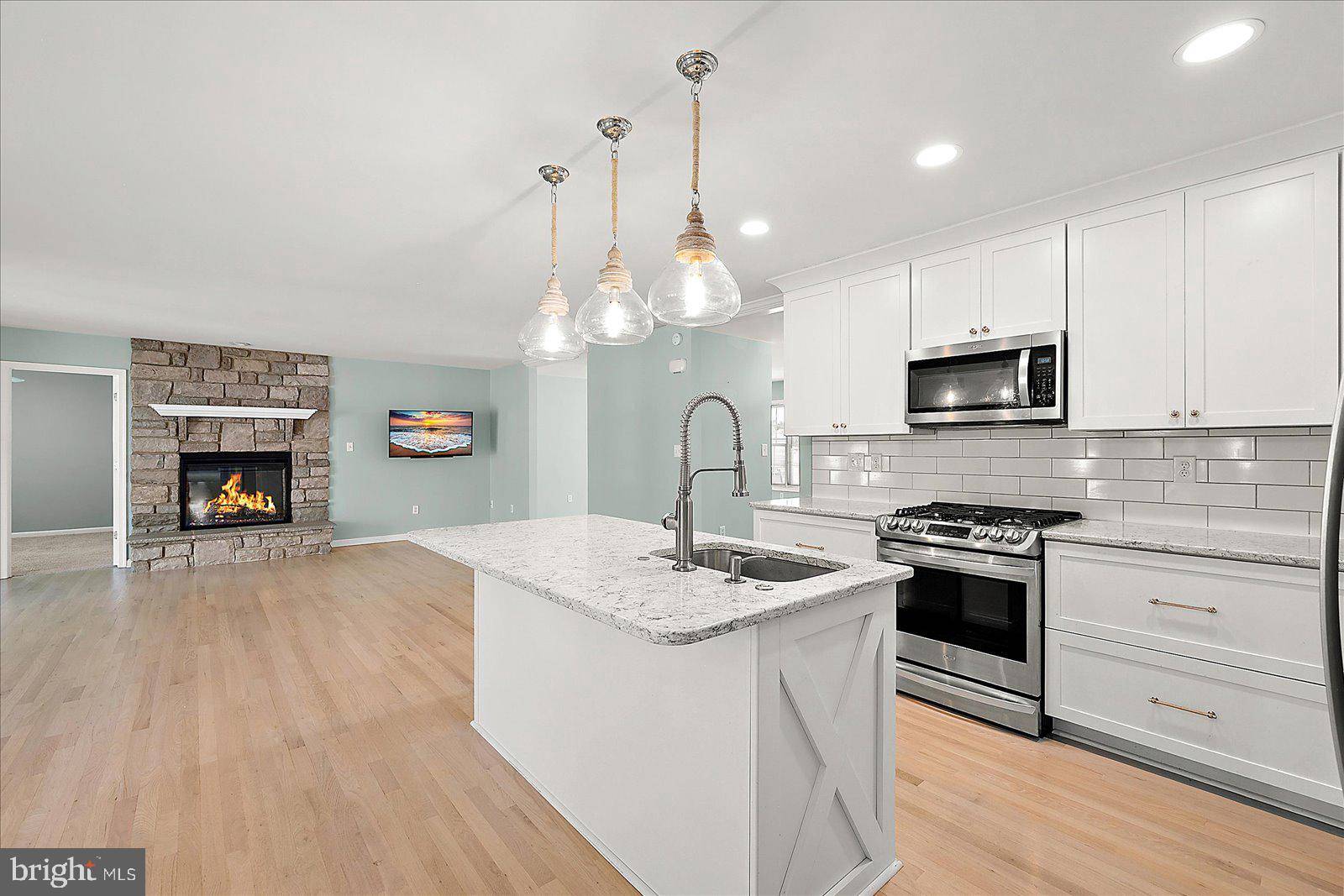 Selbyville, DE 19975,37068 CYGNET DR