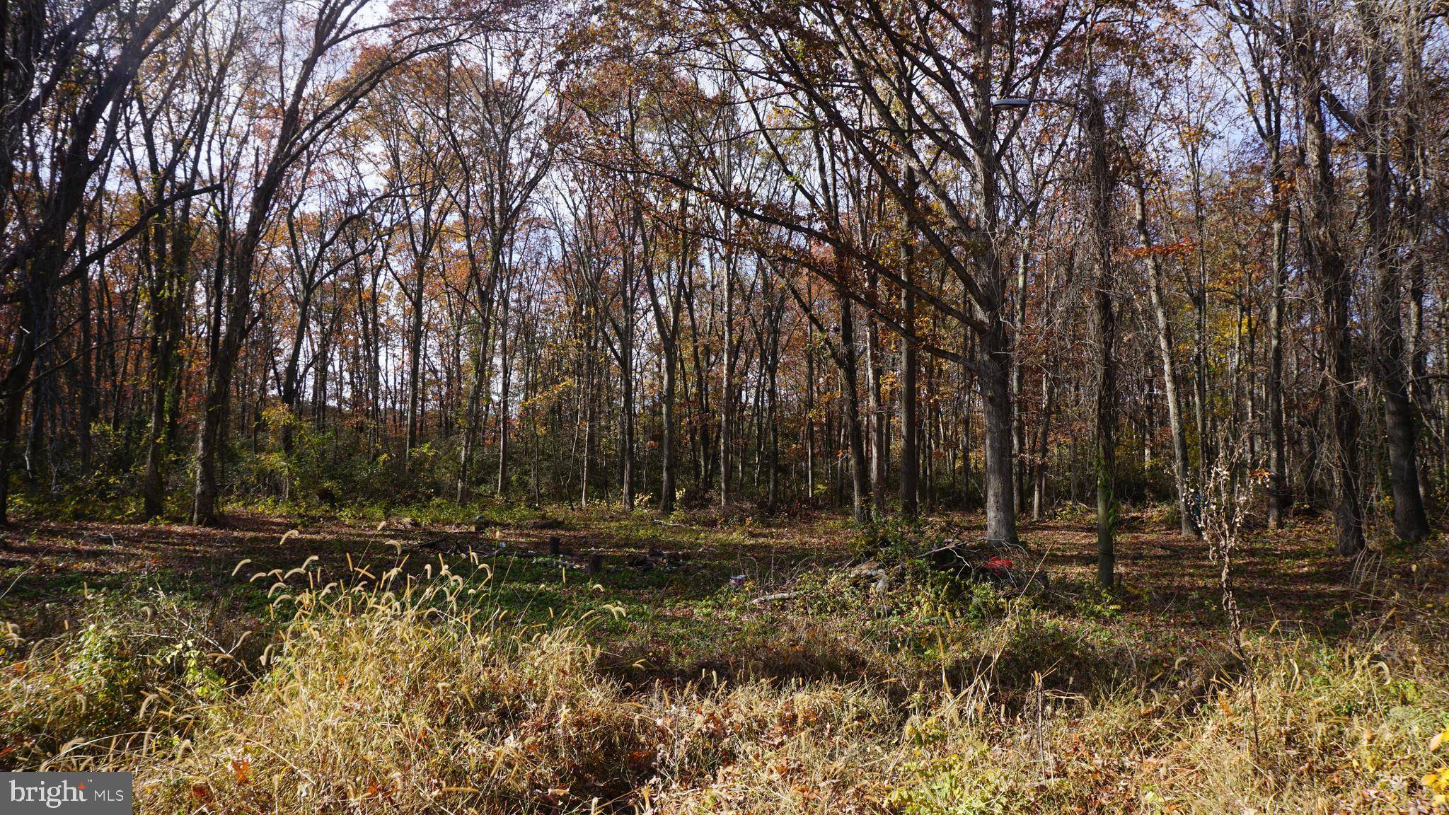 Bridgeton, NJ 08302,280 GOULD AVE