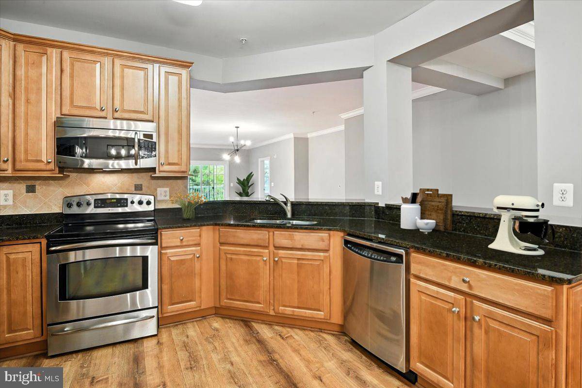 Cambridge, MD 21613,2700 WILLOW OAK DR #111B