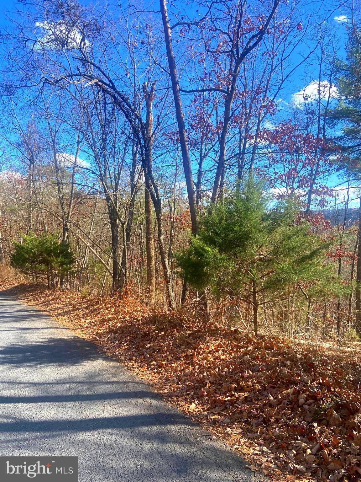 Basye, VA 22810,SPITZ LN