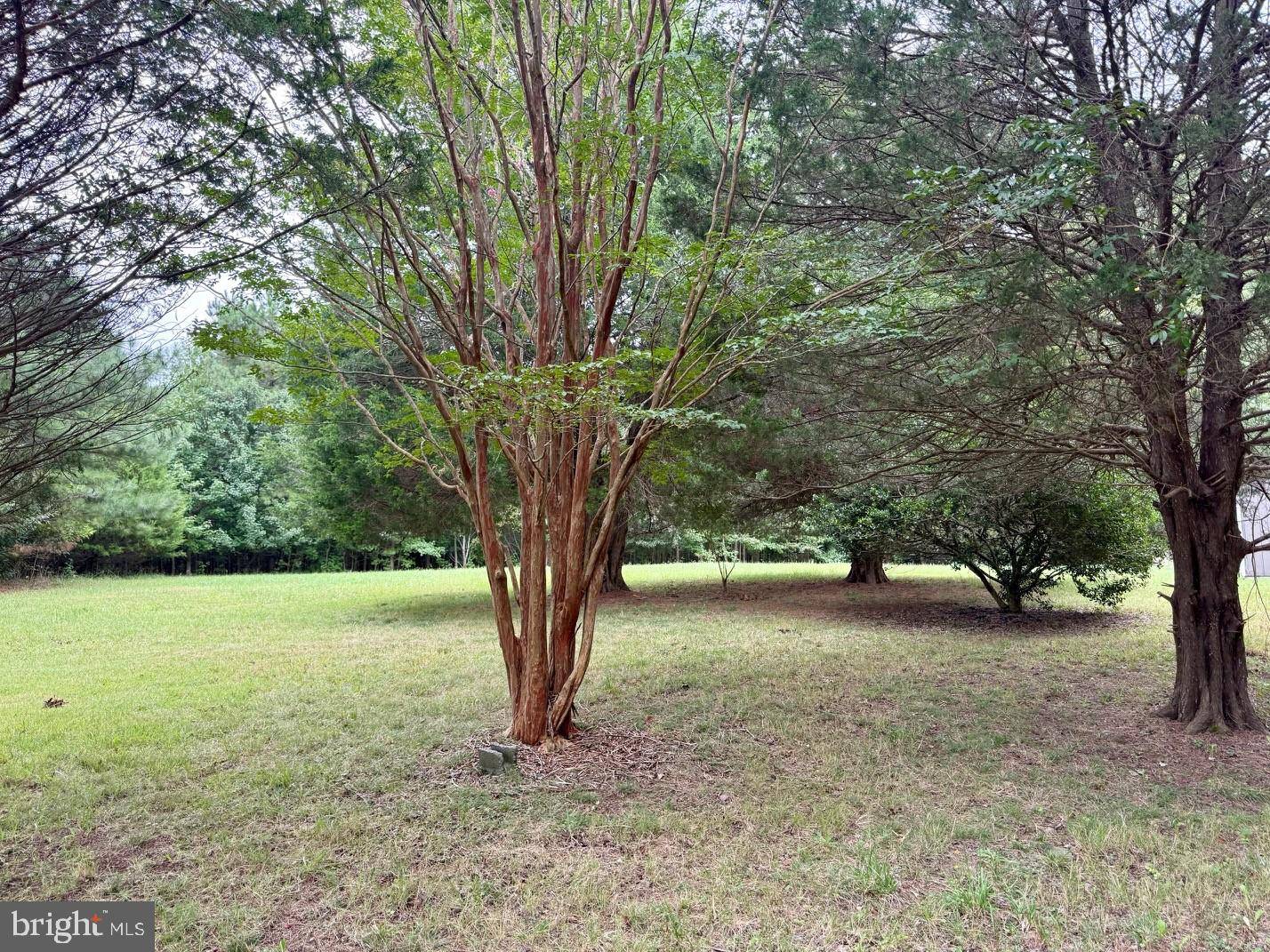 Lusby, MD 20657,11850 HG TRUEMAN RD