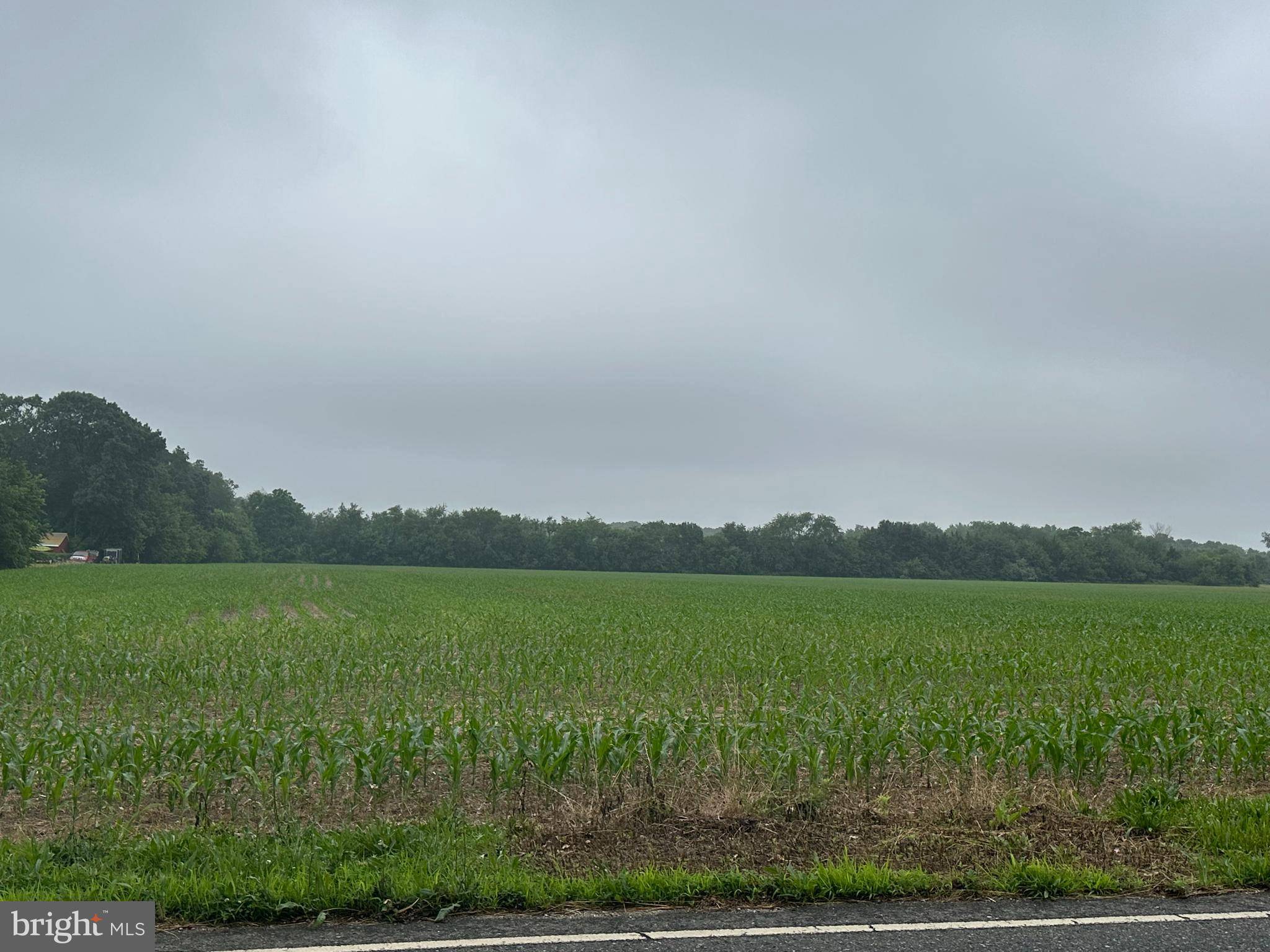 Bridgeton, NJ 08302,BLOCK 703 LOT 2 BIG OAK RD