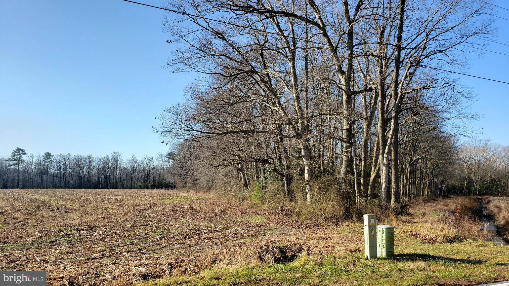 Felton, DE 19943,123 +/- ACRES SANDTOWN RD