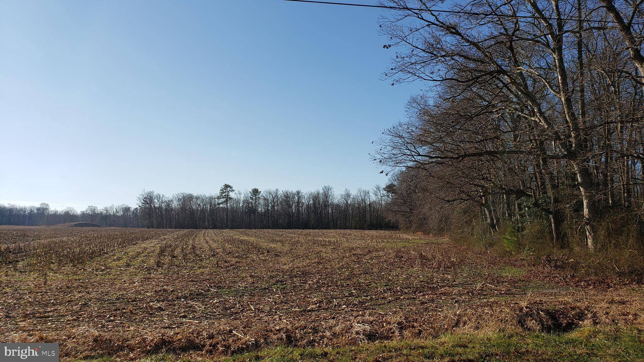 Felton, DE 19943,123 +/- ACRES SANDTOWN RD