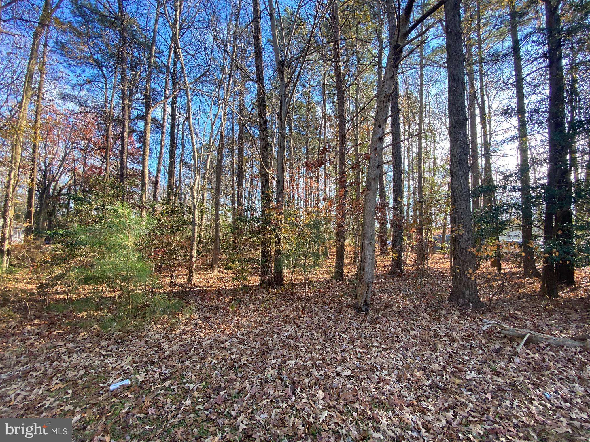 Ellendale, DE 19968,HUMMINGBIRD LOT 01