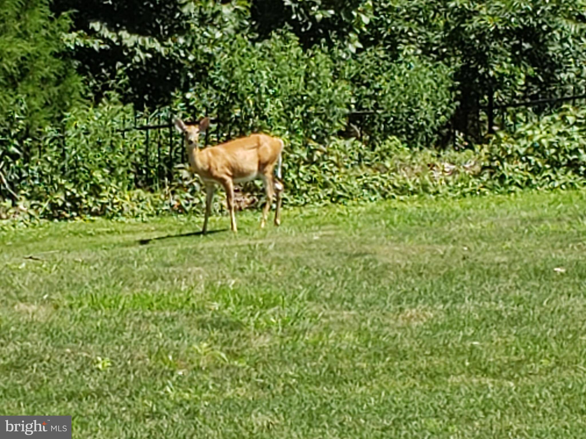 Nanjemoy, MD 20662,SMITH POINT RD