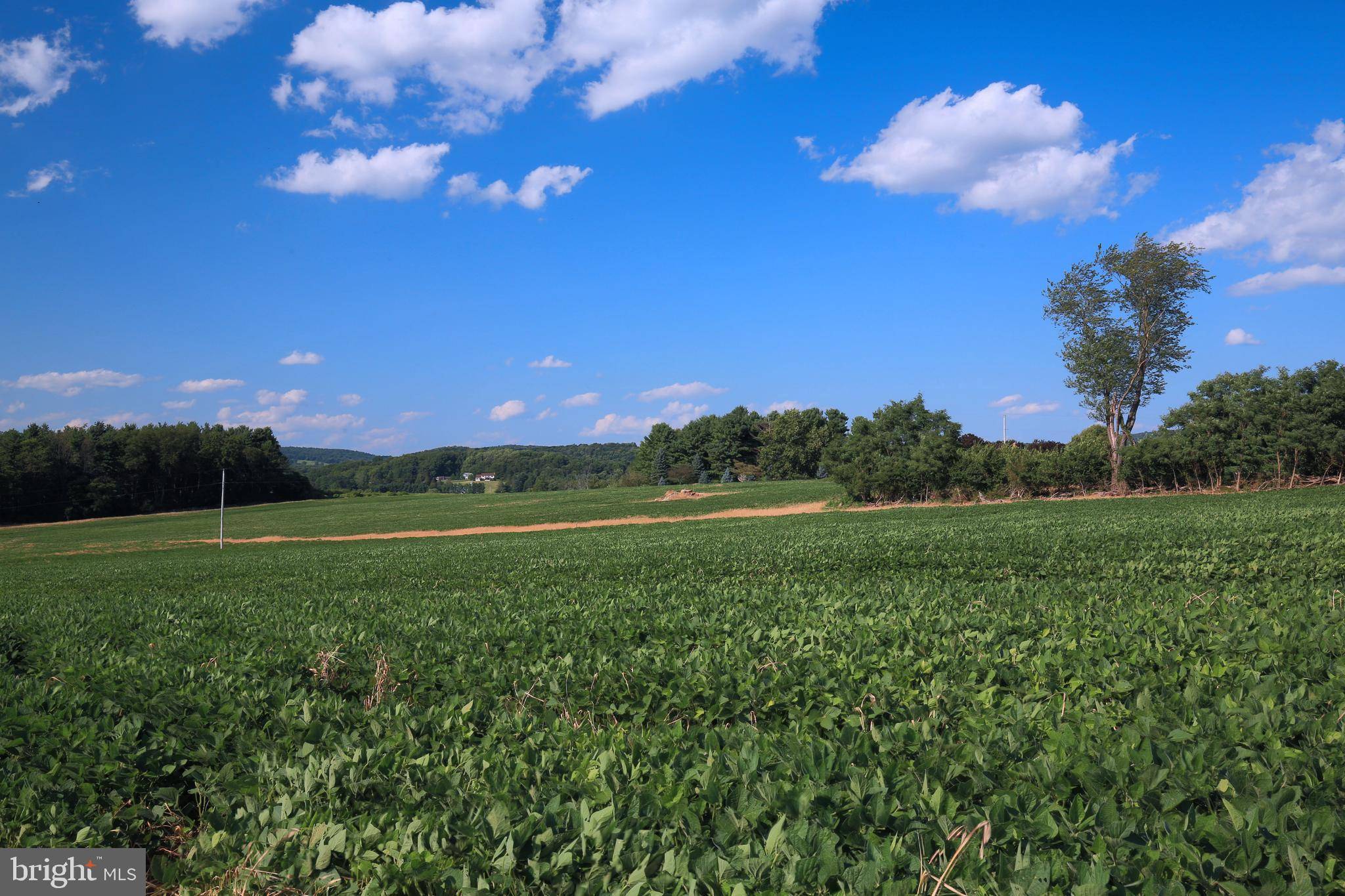 Myersville, MD 21773,LOT #3 PLEASANT WALK ROAD