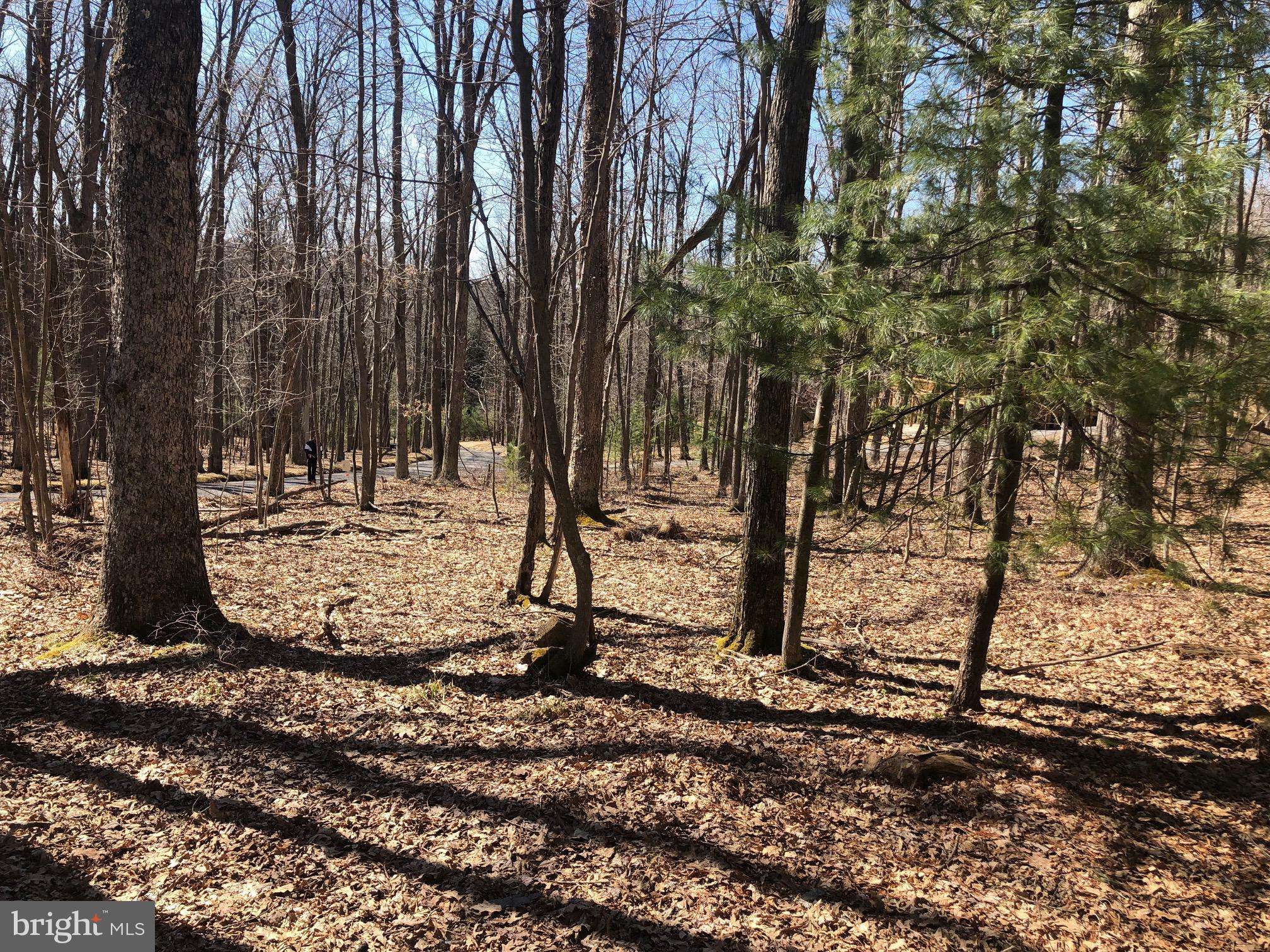 Swanton, MD 21561,LOT 58 E BENCH ROAD