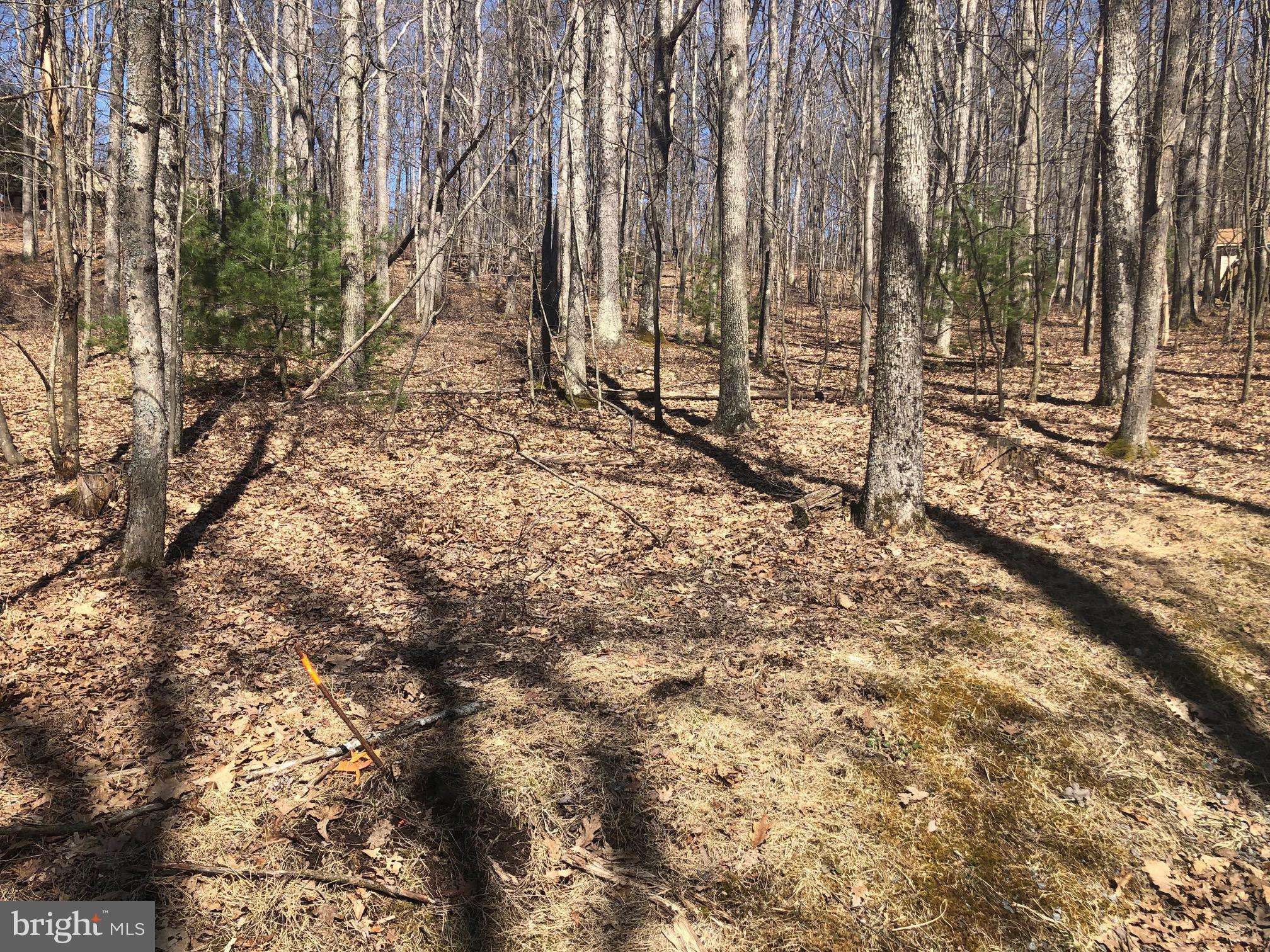 Swanton, MD 21561,LOT 58 E BENCH ROAD