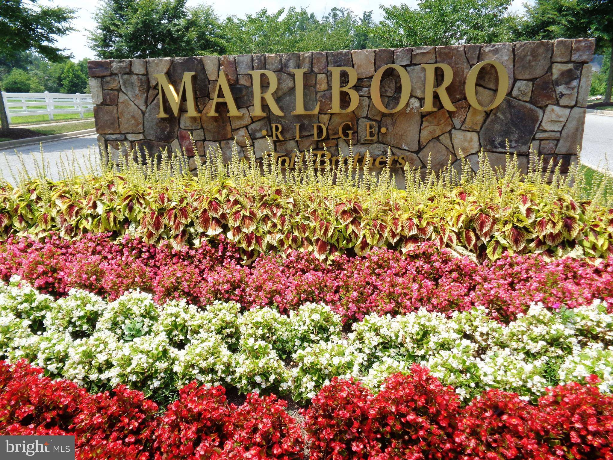 Upper Marlboro, MD 20772,11027 BUGGY PATH