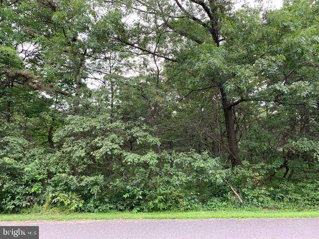 Jim Thorpe, PA 18229,0-LOT 439 ROBERTSON RD