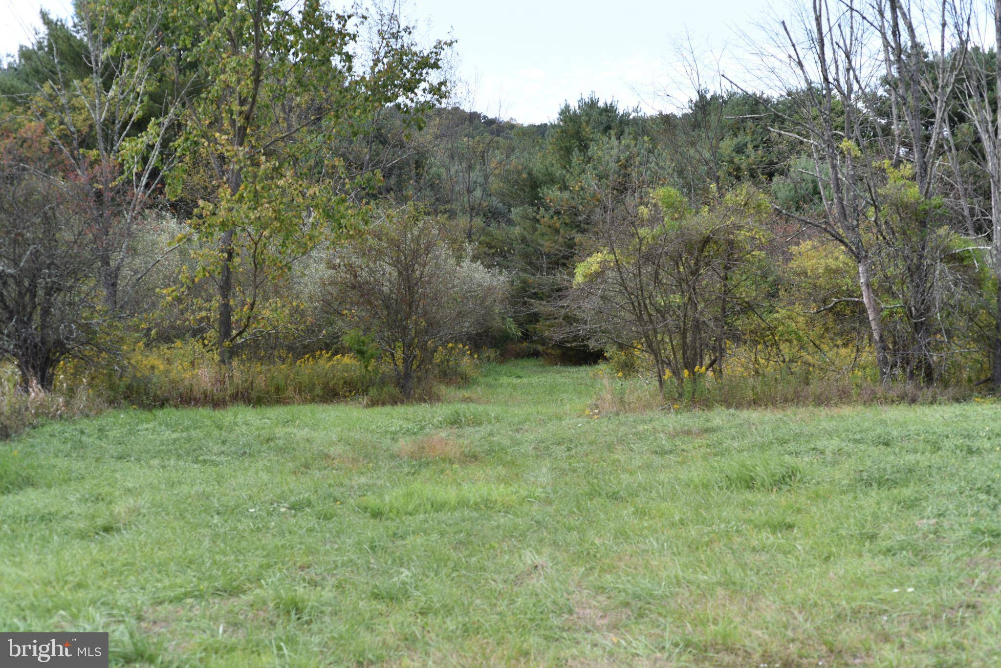 Mcconnellsburg, PA 17233,LOT # 1 GREAT COVE ROAD