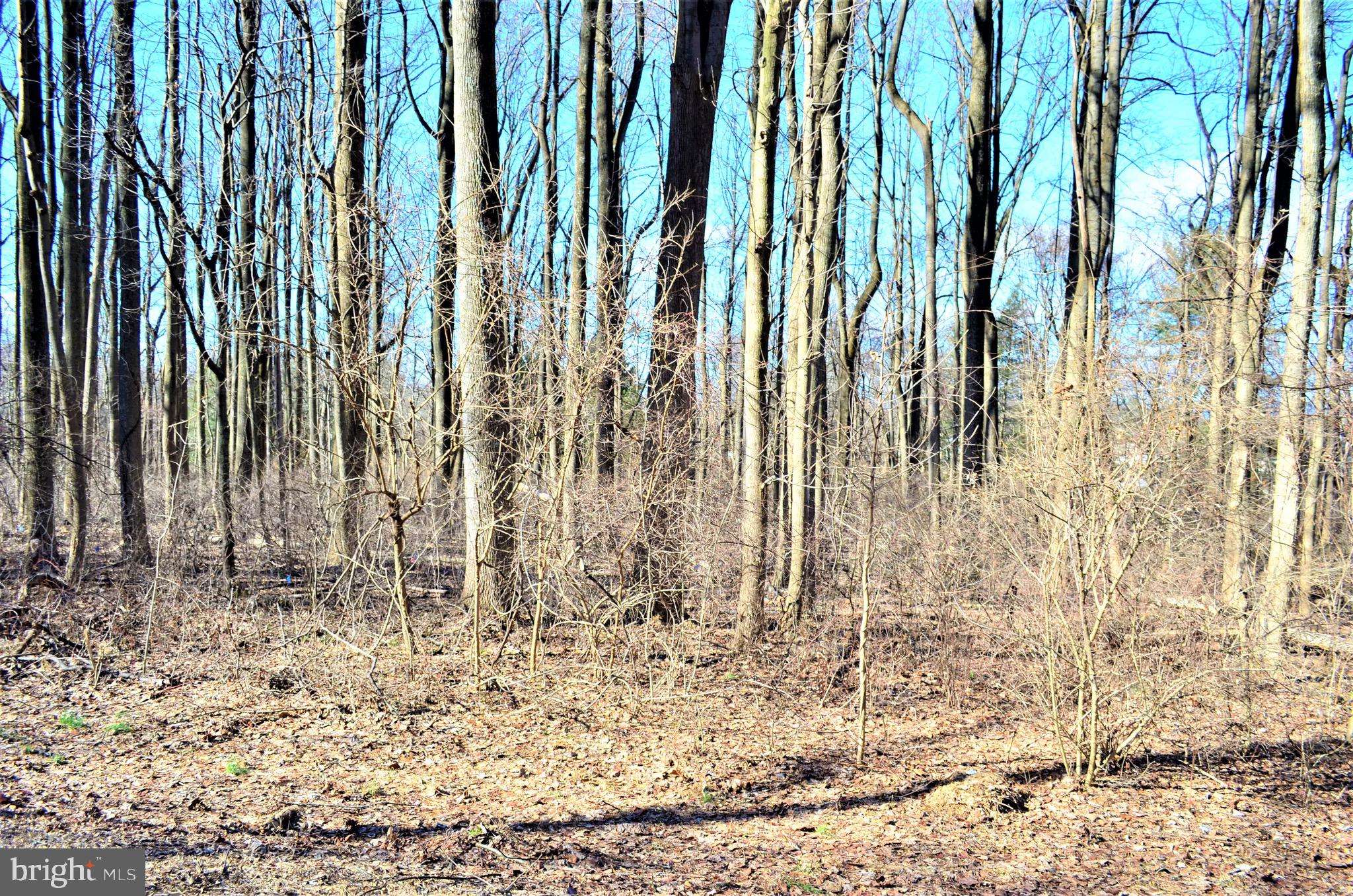 Dillsburg, PA 17019,LOT 1 MEADOW TRAIL