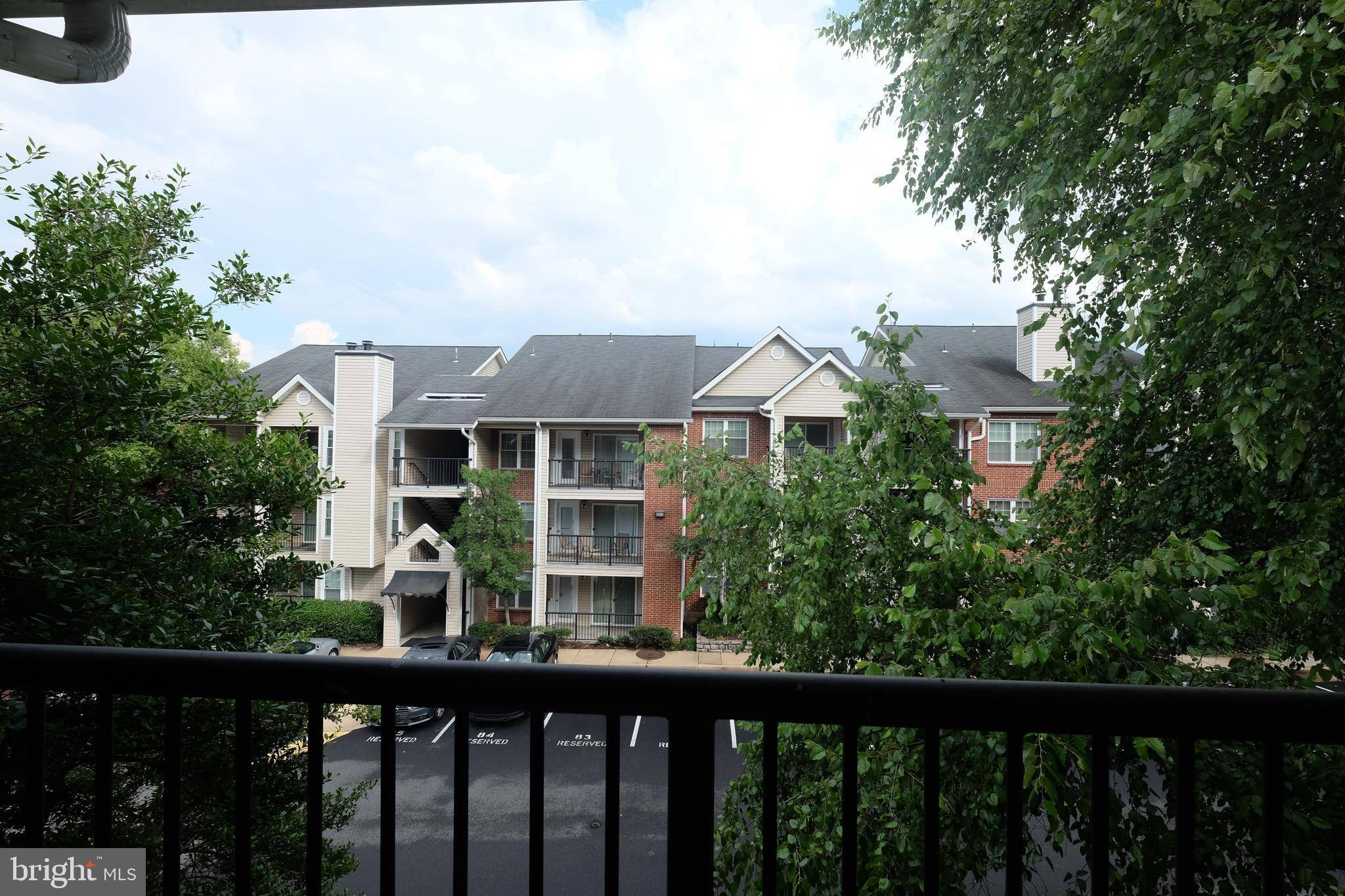 Alexandria, VA 22302,3303 WYNDHAM CIR #344