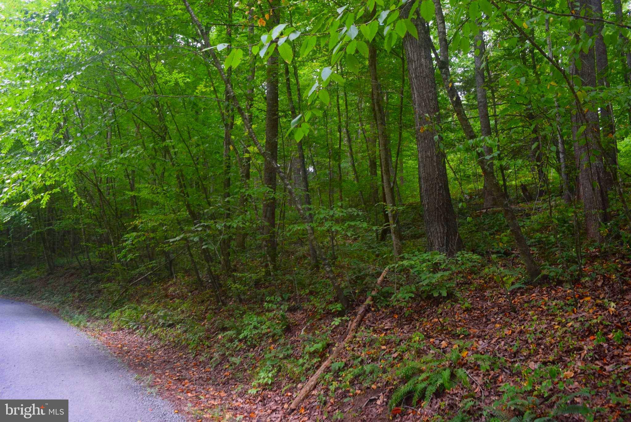 Castleton, VA 22716,LOT 6 CAMPGROUND LANE