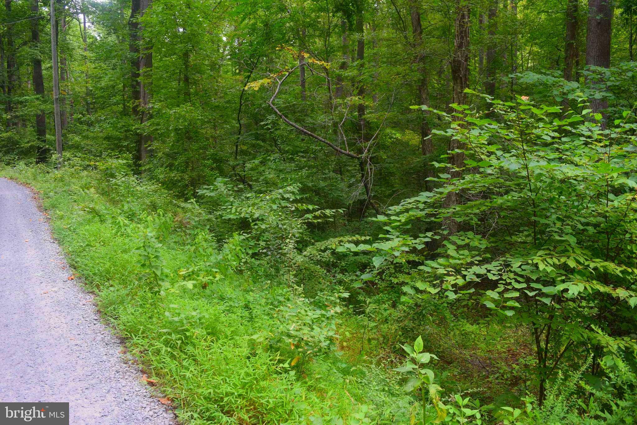 Castleton, VA 22716,LOT 6 CAMPGROUND LANE