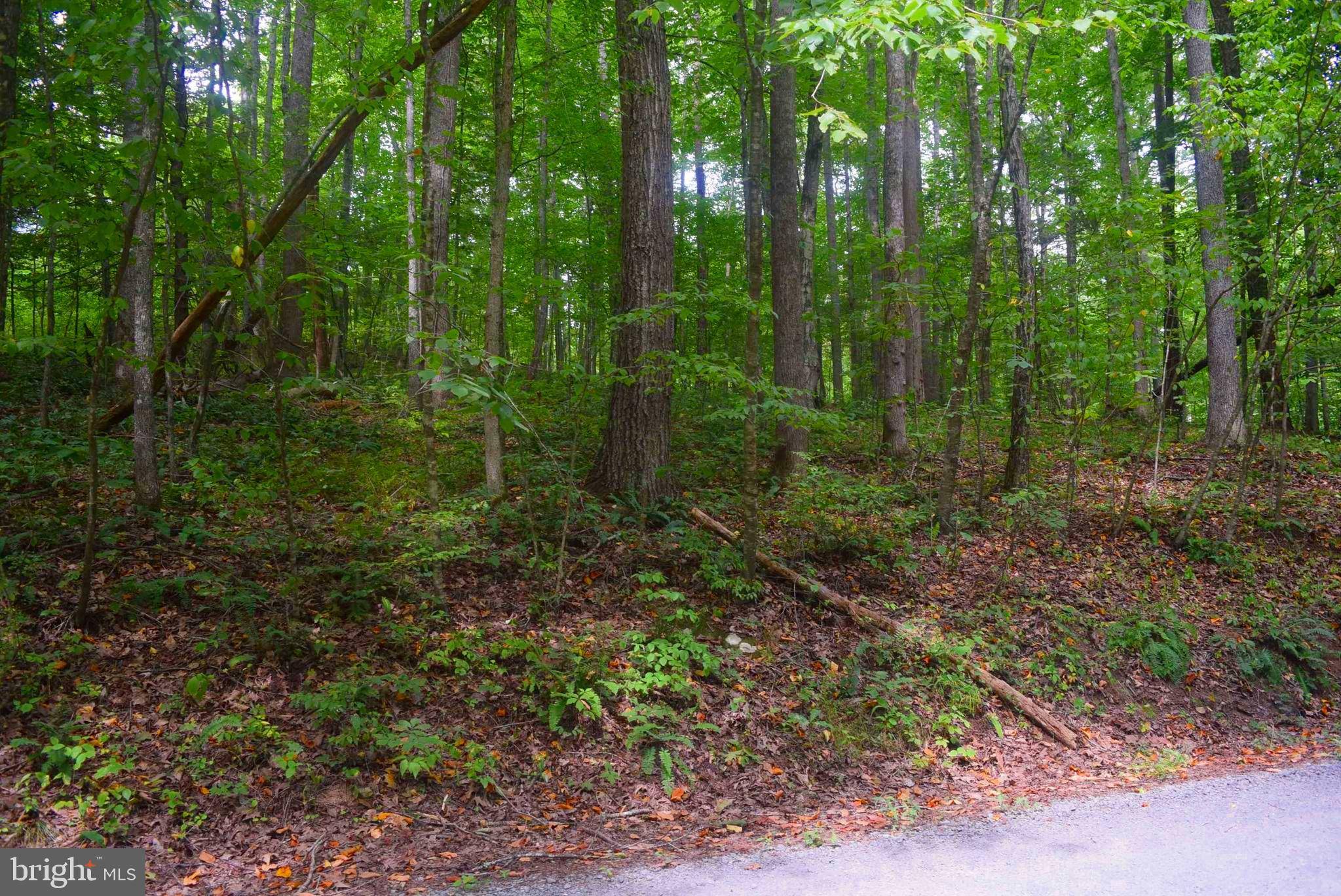 Castleton, VA 22716,LOT 6 CAMPGROUND LANE