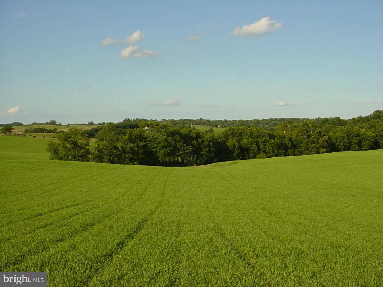 Delaplane, VA 20144,CHATTINS RUN LN