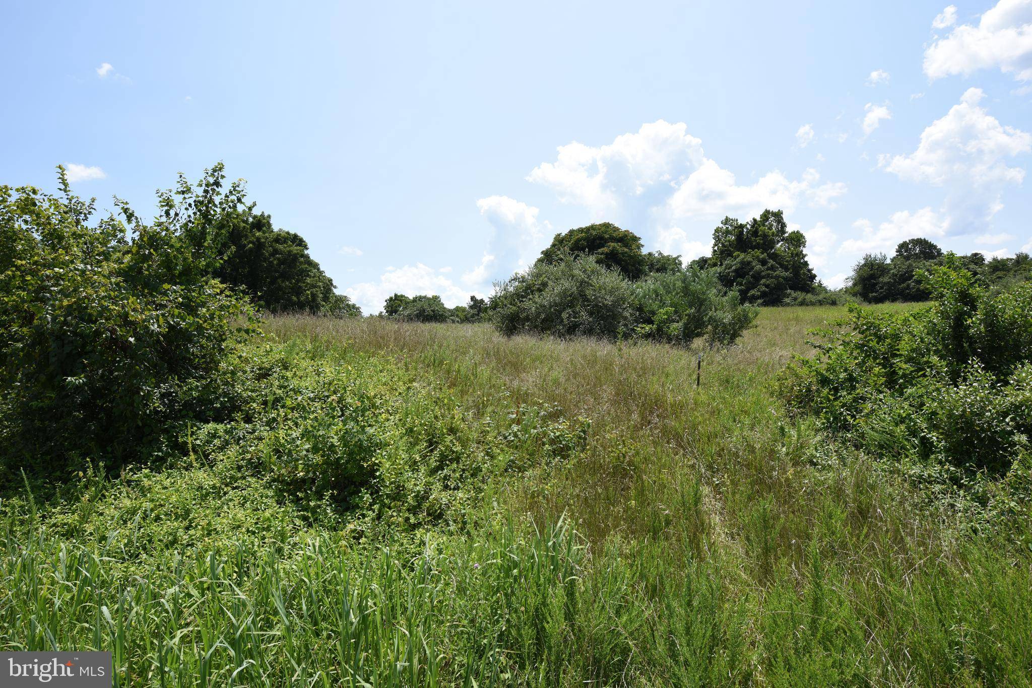 Delaplane, VA 20144,LOT 2 - JOHN MARSHALL HWY