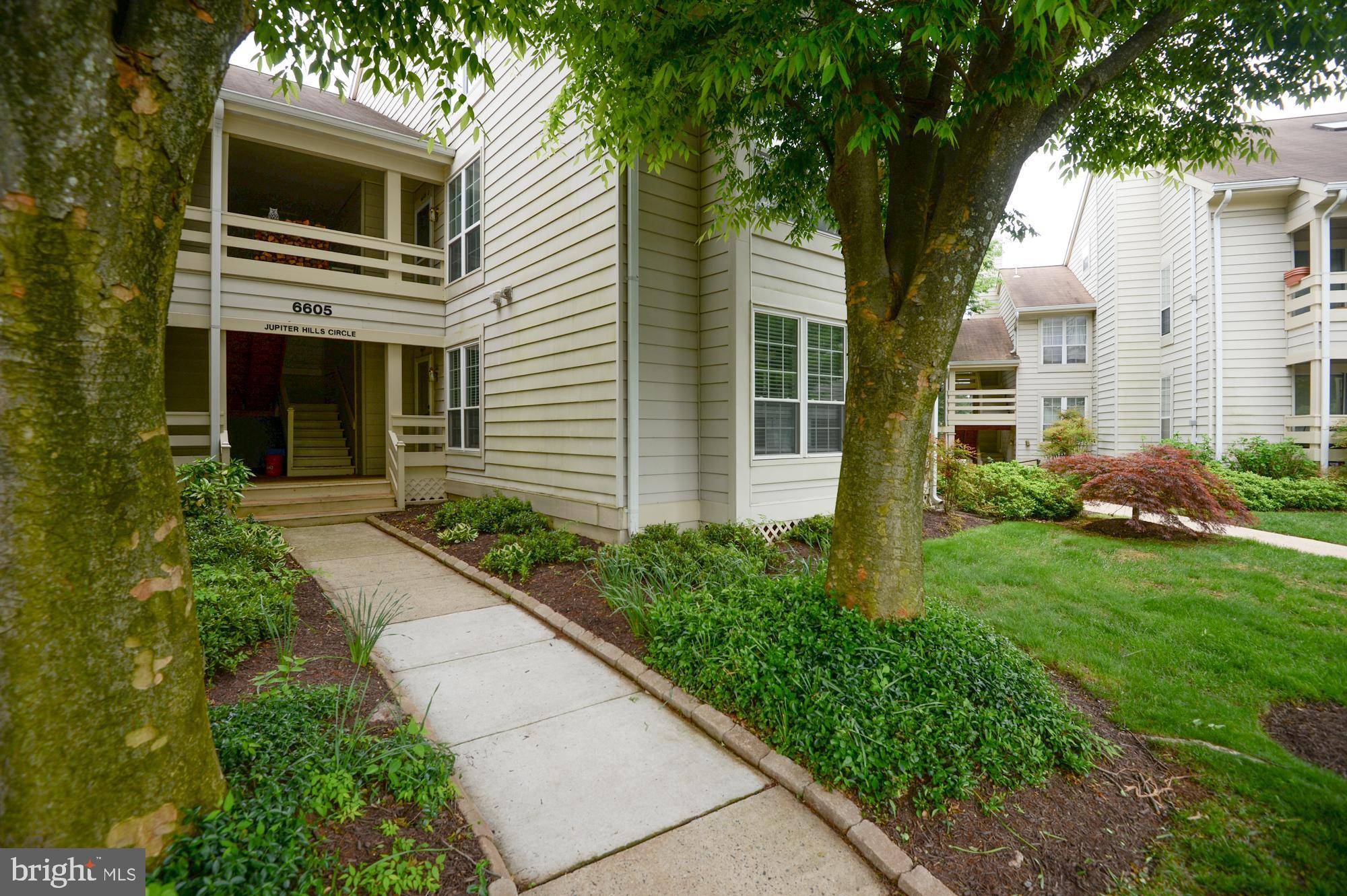 Alexandria, VA 22312,6605-C JUPITER HILLS CIR