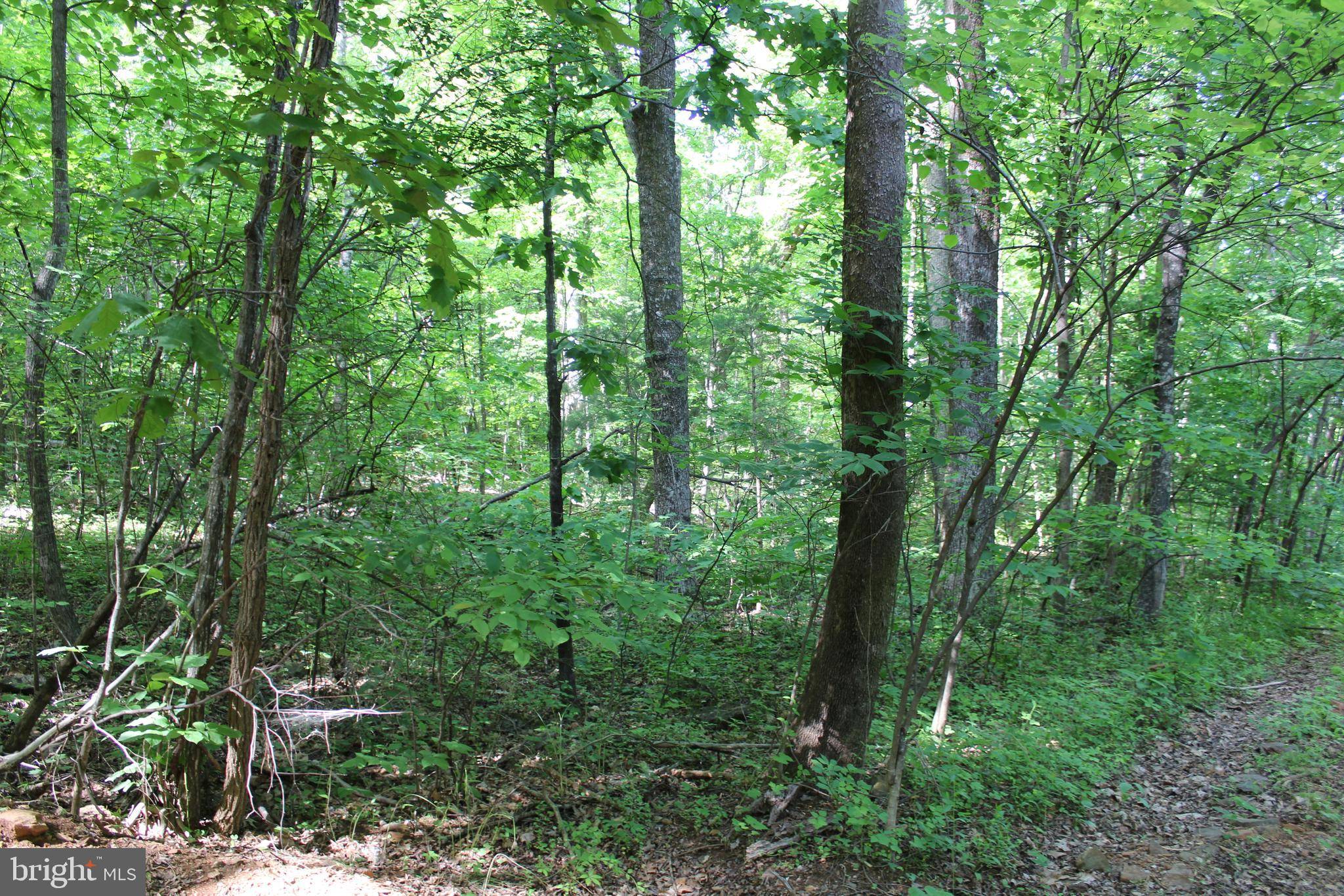 Stanardsville, VA 22973,LOT 53 RED BIRD DR