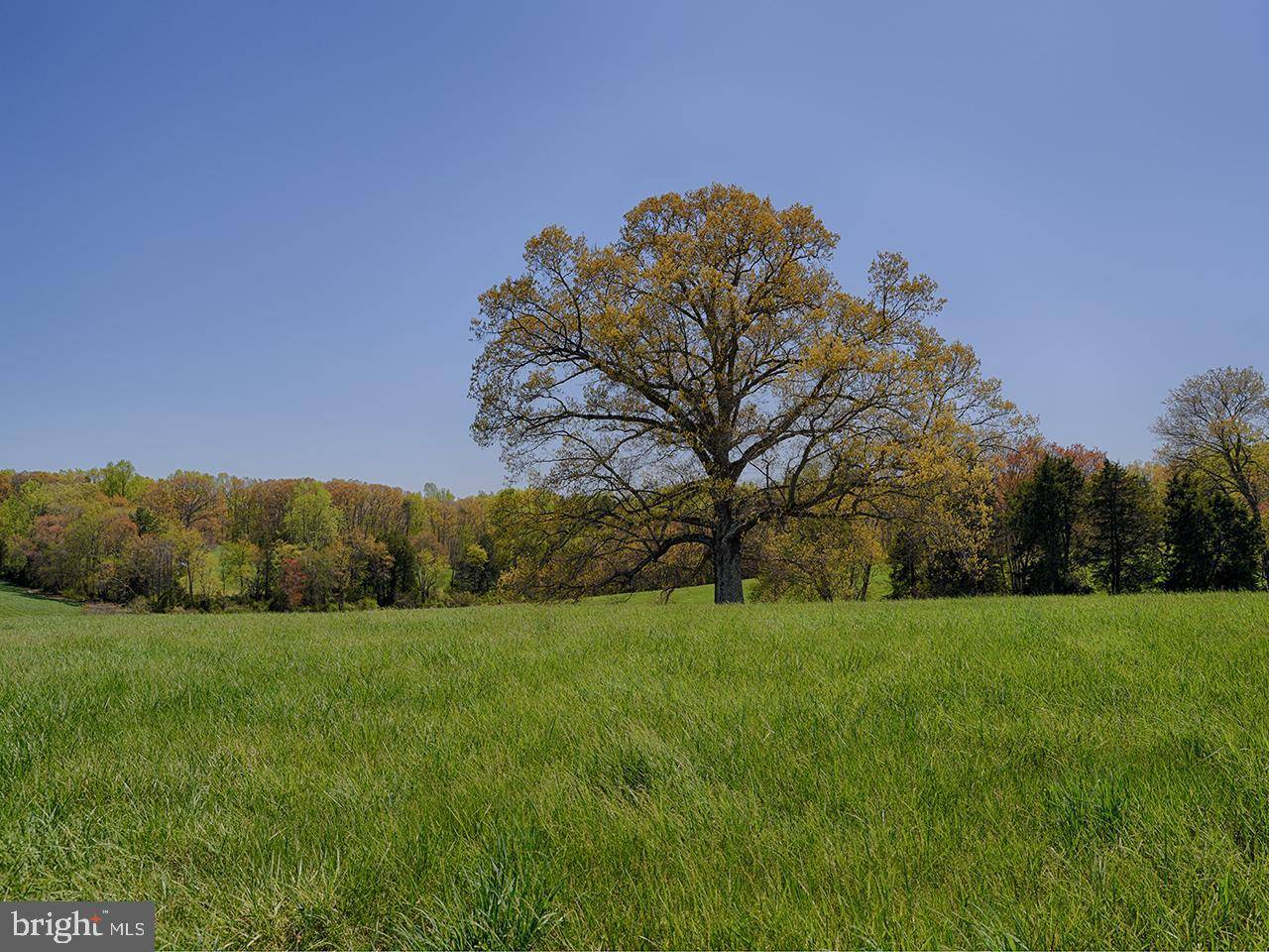 Louisa, VA 23093,TBD VAWTER'S CORNER RD