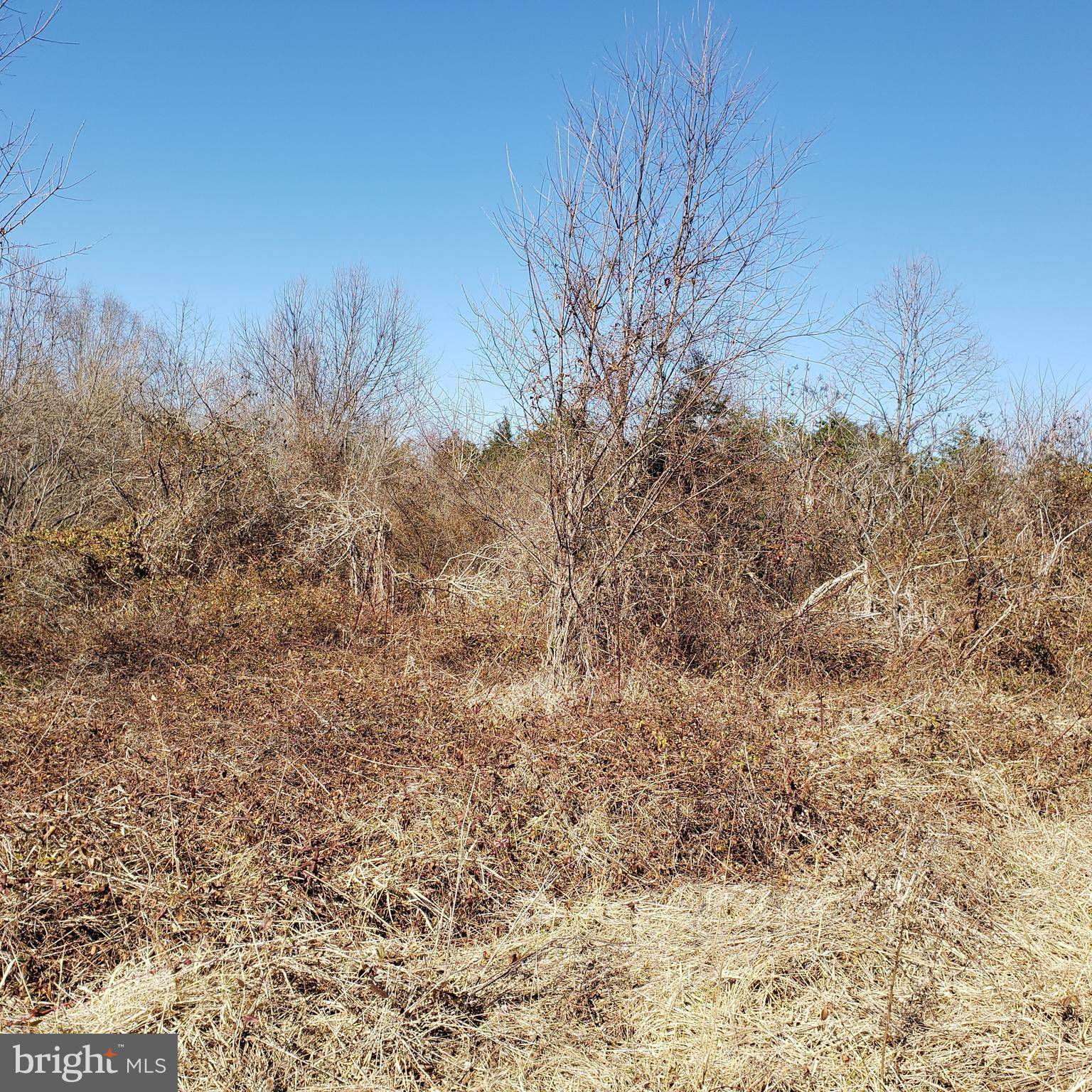 Bumpass, VA 23024,PENDLETON FARM RD